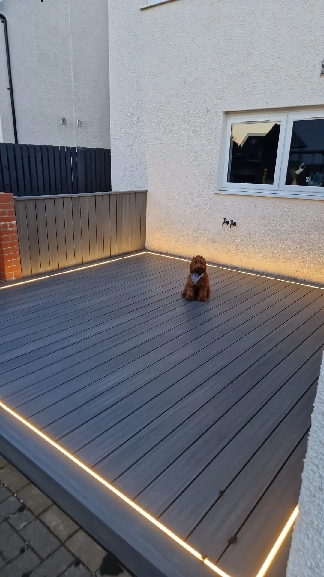 A small brown puppy wearing a blue bandana sitting on a wooden deck with built-in LED lighting along the edges, outside a modern house with beige textured walls and a large window.