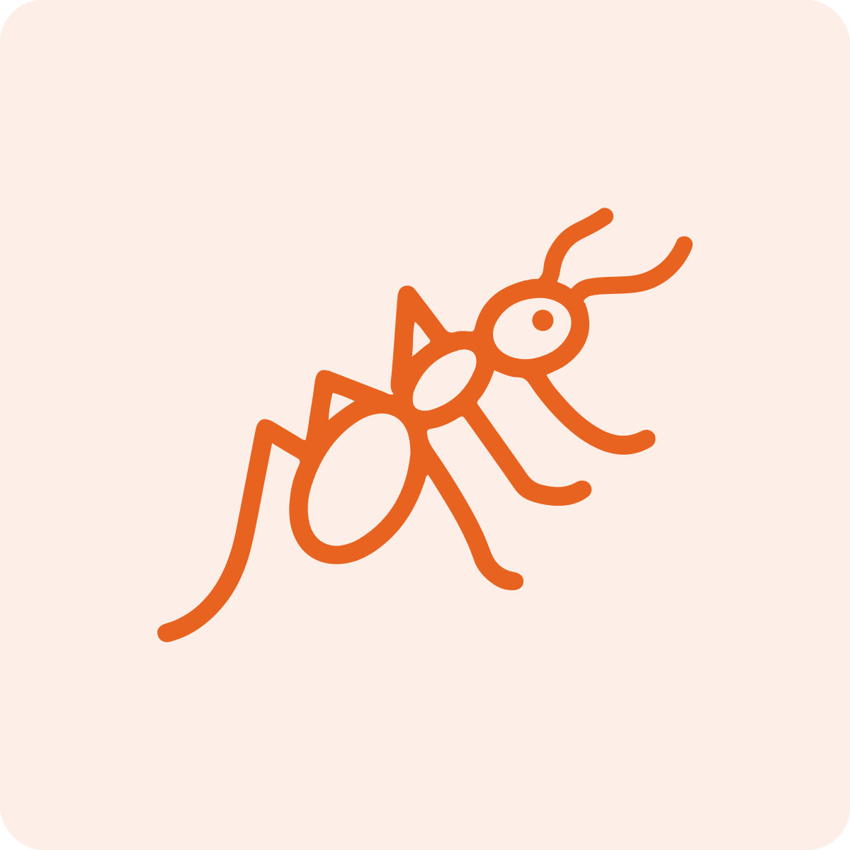 Simple line drawing of an ant on a pale pink background.