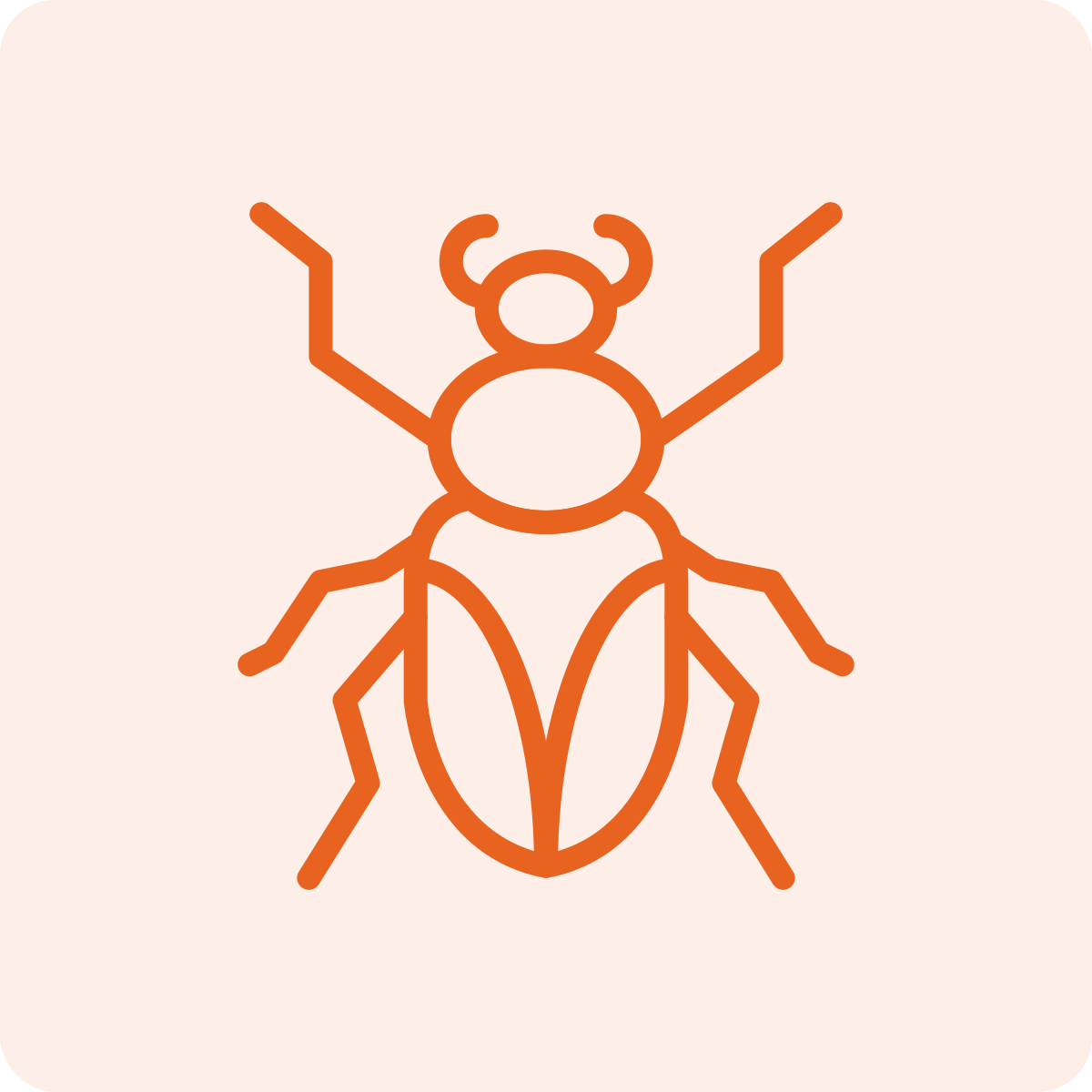 Minimalist orange line drawing of a beetle on a light pink background.
