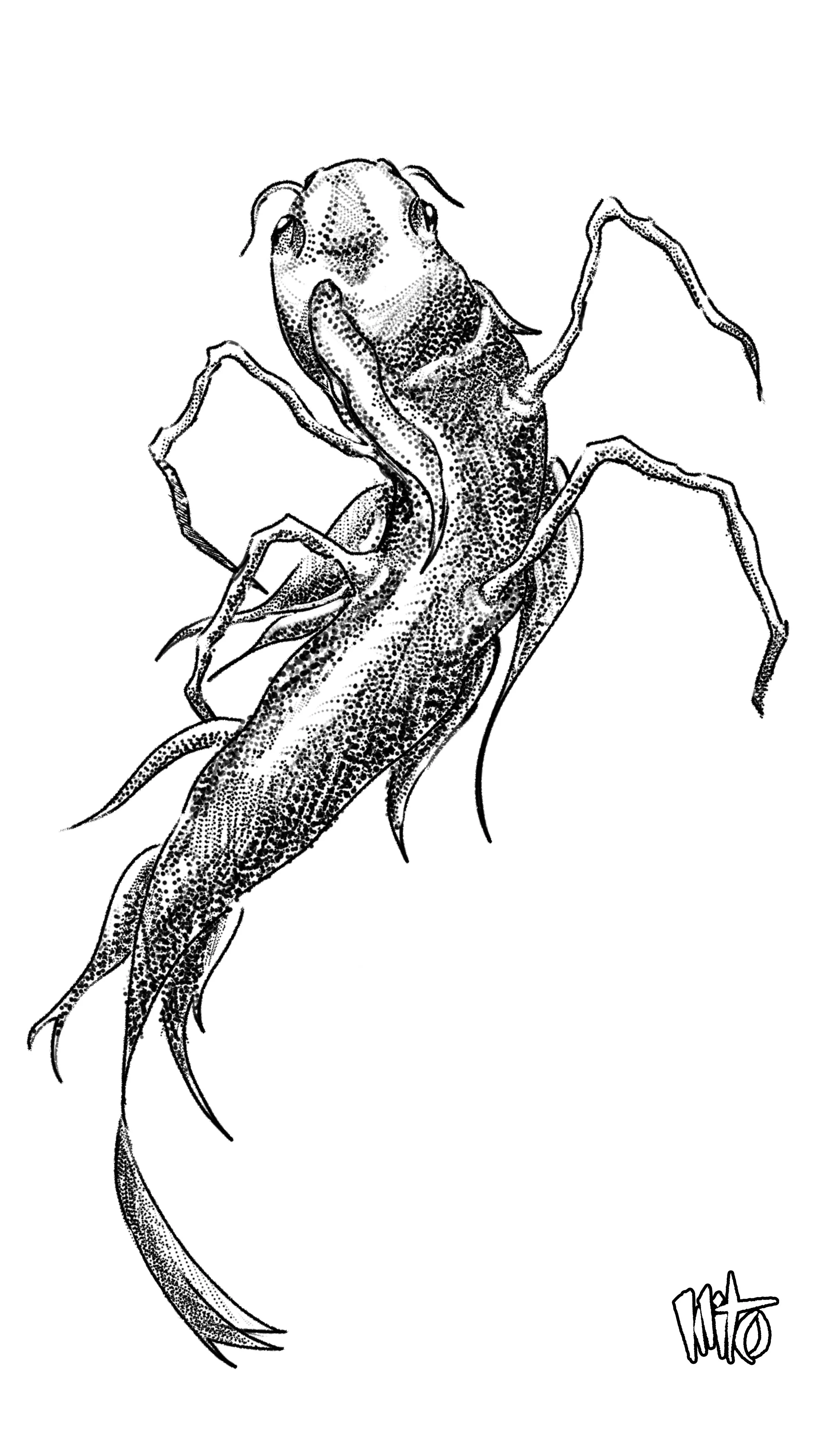 fish.jpg