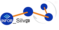 Logo de uma rede social ou plataforma com o texto 'INFOR_Silv@'.