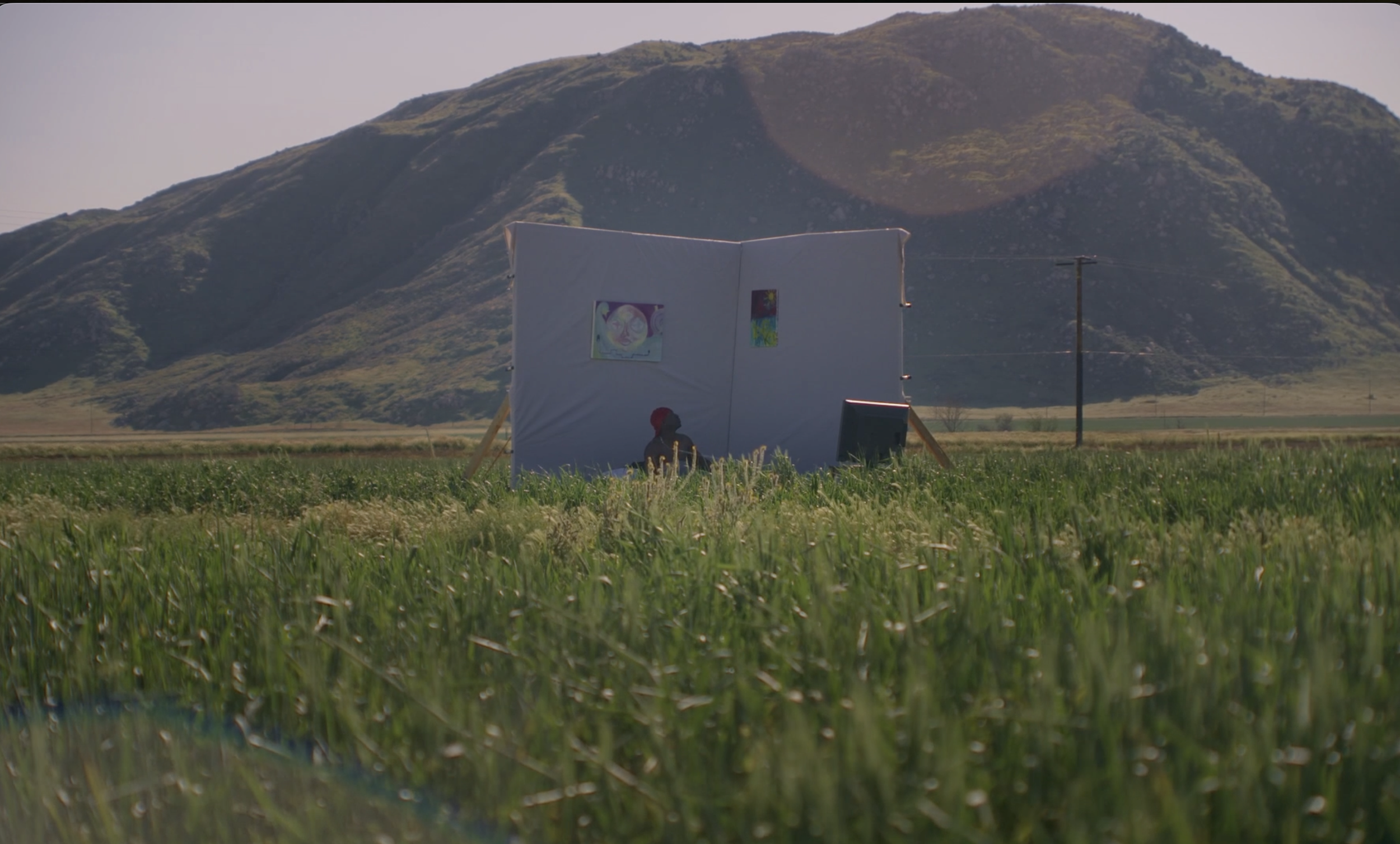 An outdoor scene with a grassy field, a person sitting on the ground, a white folding screen with artwork, and a mountain in the background.
