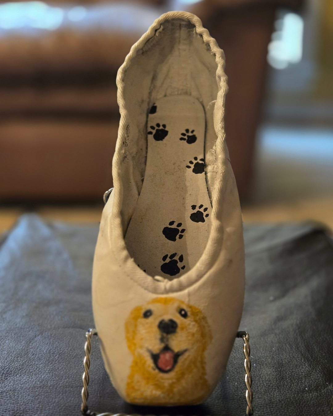 pointe-shoe-project-cyb.png