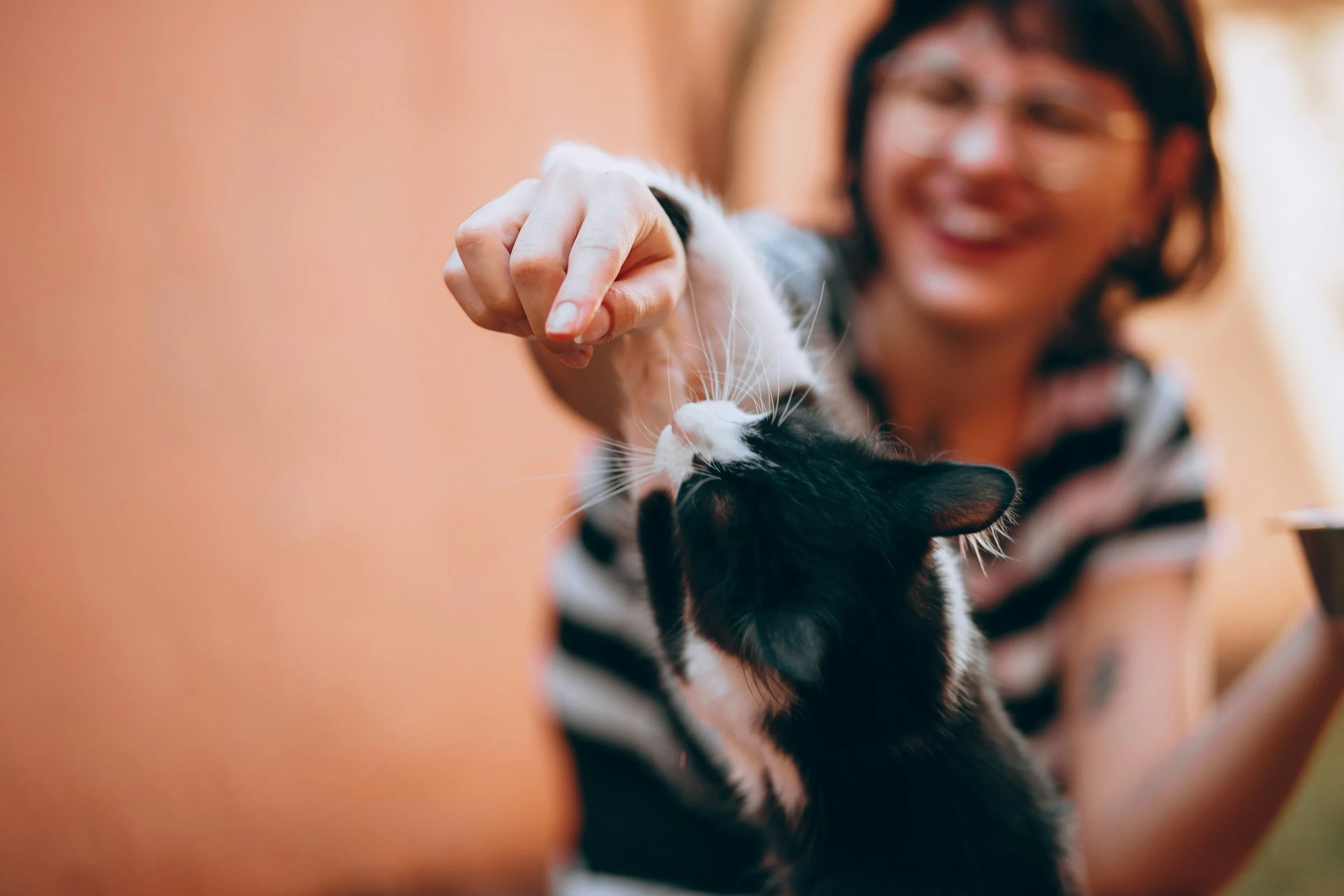 A woman with glasses and short hair smiling while reaching to pet a black and white cat. The focus is on the cat's face and paw.