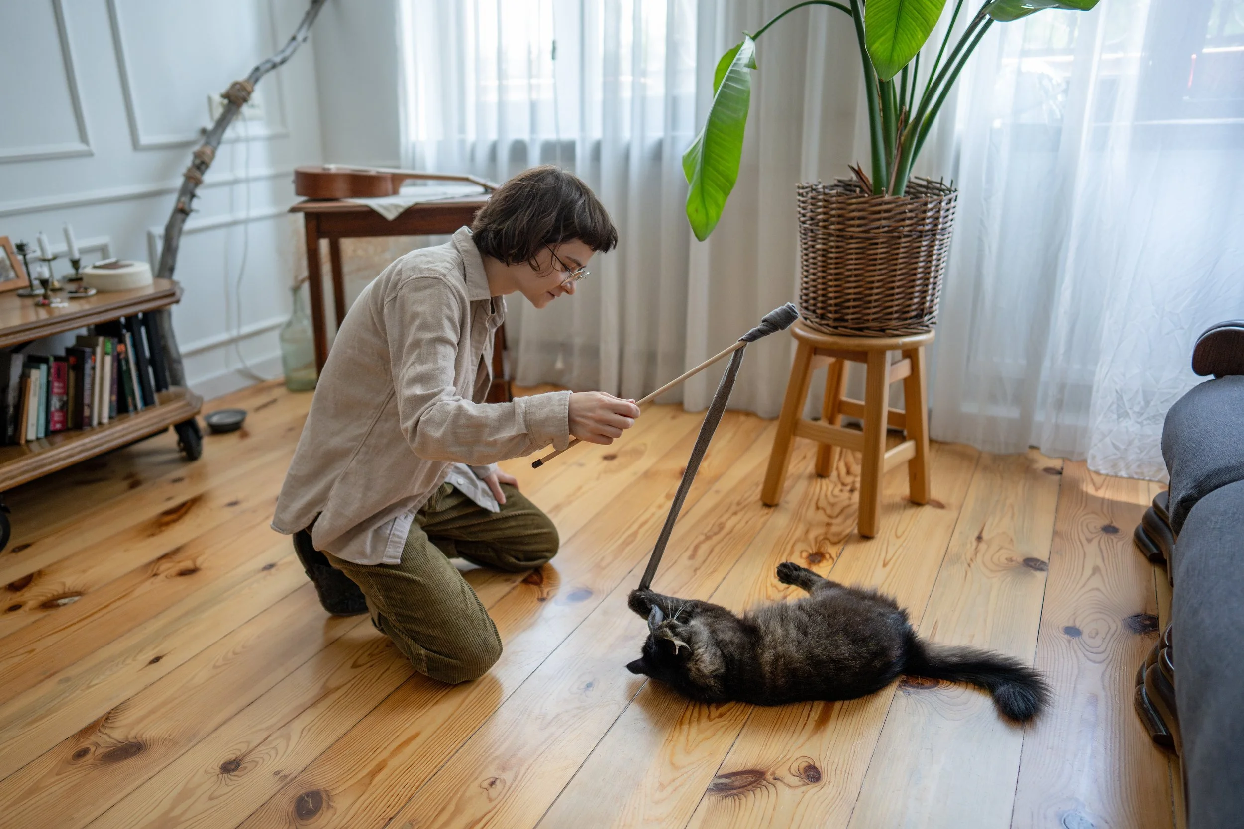 A person with short hair and glasses is kneeling on the wooden floor, playing with a black and gray dog that is lying on its back, all inside a well-lit room with large windows and white curtains. There is a large potted plant on a stool, a bookshelf, and a small table with candles and books in the background.