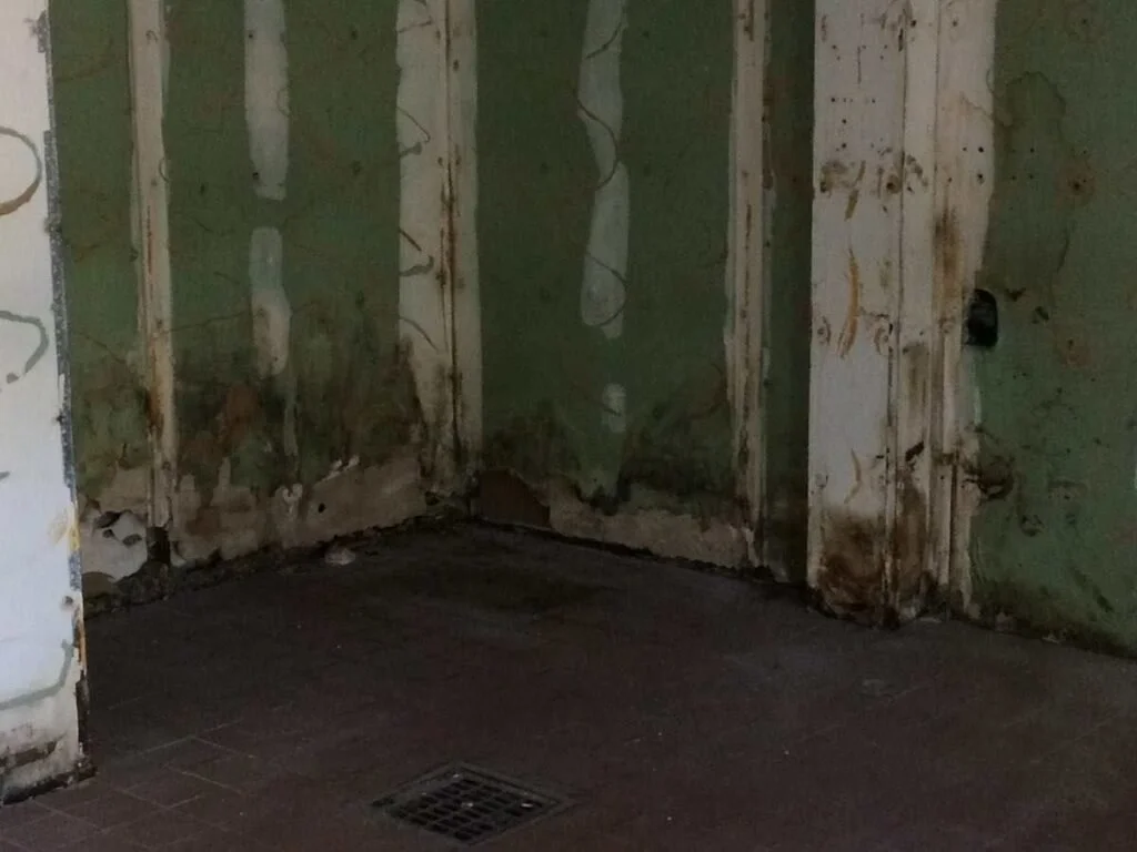 A corner of a room with green and white peeling wall paint, damaged drywall, and a floor drain.