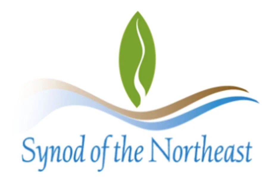 Logo featuring a green leaf, waves in beige and blue, and the text 'Synod of the Northeast'.