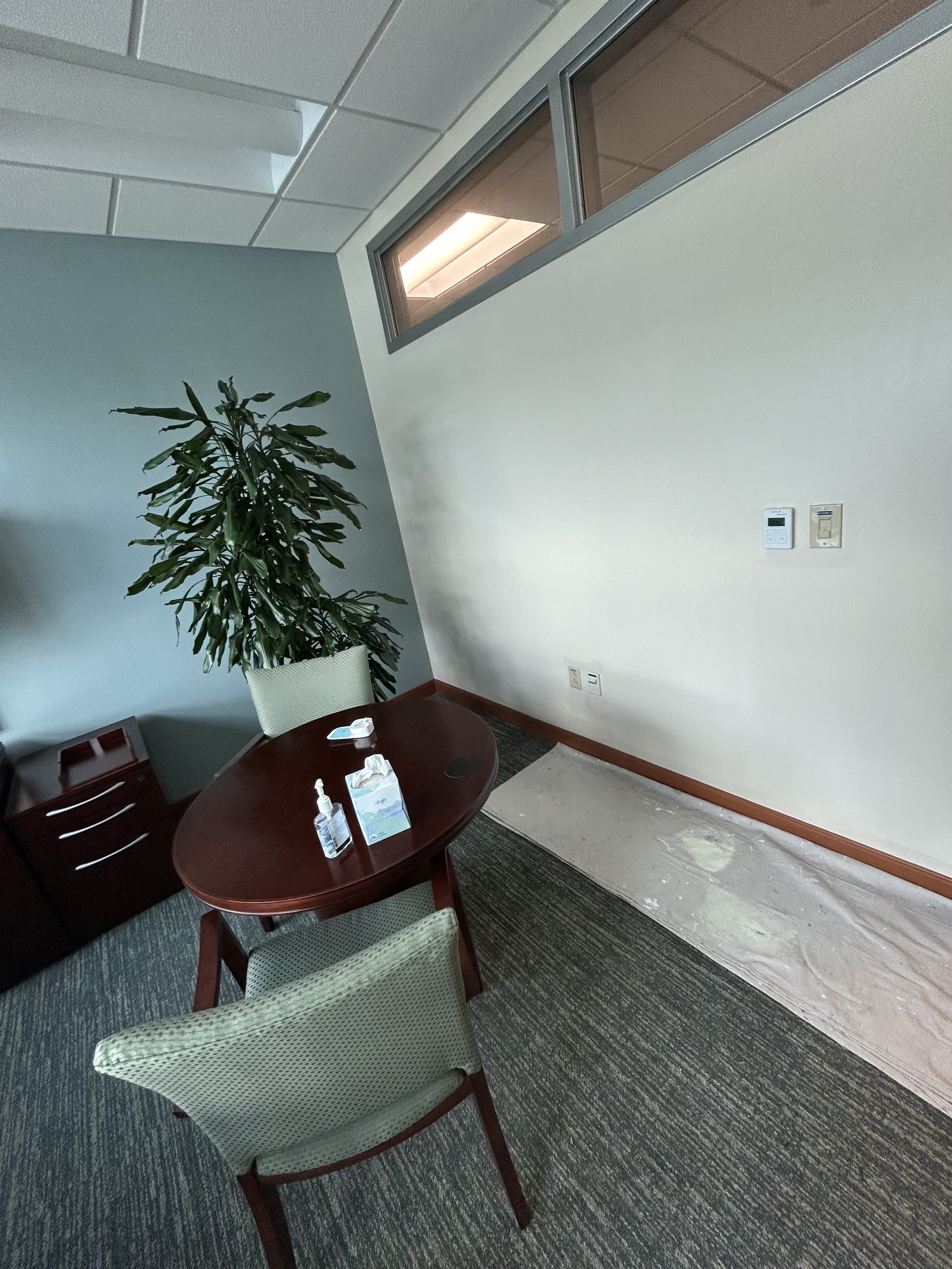 Office corner with a chair and a table with hand sanitizer, tissue box, and face mask, a large potted plant, a window, and a wall with thermostat and outlets, with a carpeted floor and dropped ceiling.