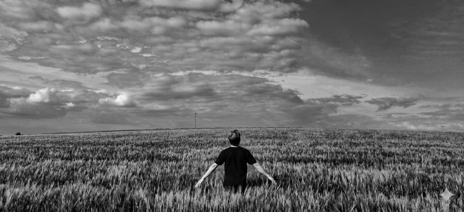 A person in a black shirt walking through a field of tall grass or crops with a cloudy sky overhead.