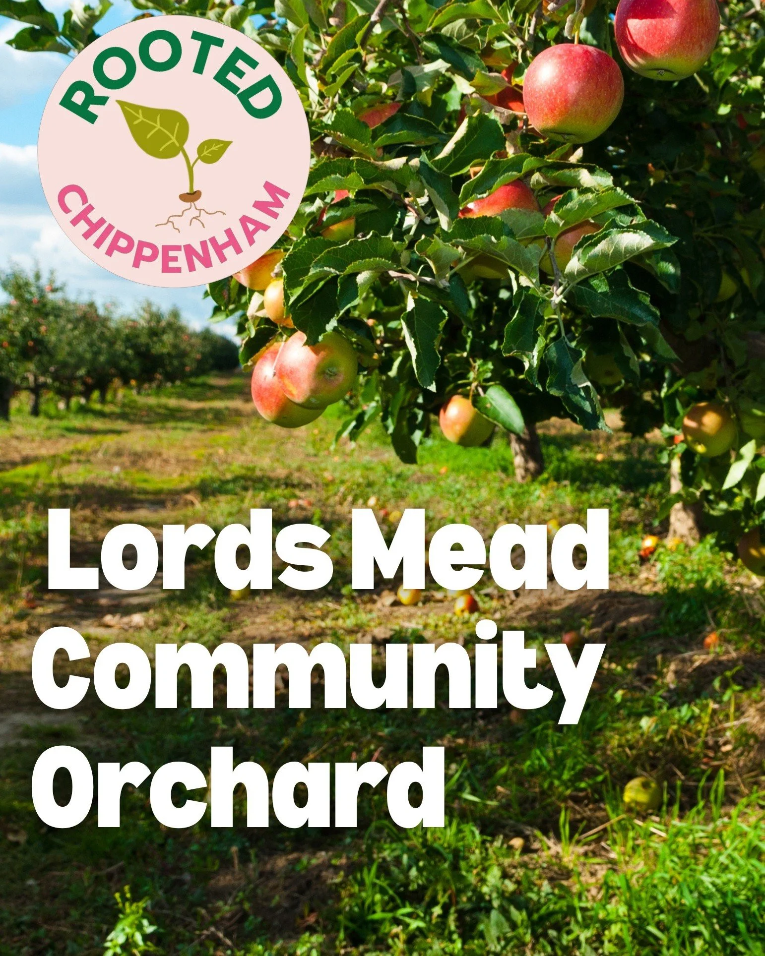 Lords Mead Community Orchard

🍎 Planting Day 🍐

Come along and help establish a brand new community orchard right here in Lords Mead. We will be playing over 30 fruit trees including varieties of apple, pear, quince, plum, and more!
Whether you sta