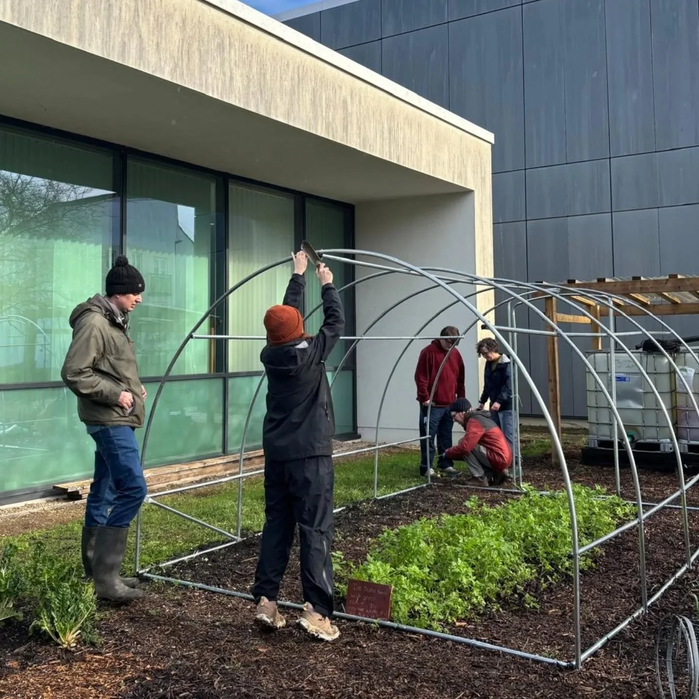 Beautiful 2 hours today up at the community garden.

We got onion sets, garlic, and broad beans sown. We also continued work.on our new brassica shelter.

A few rain showers didn't stop us, and what a brilliant way to get outside midweek 😍

The gard