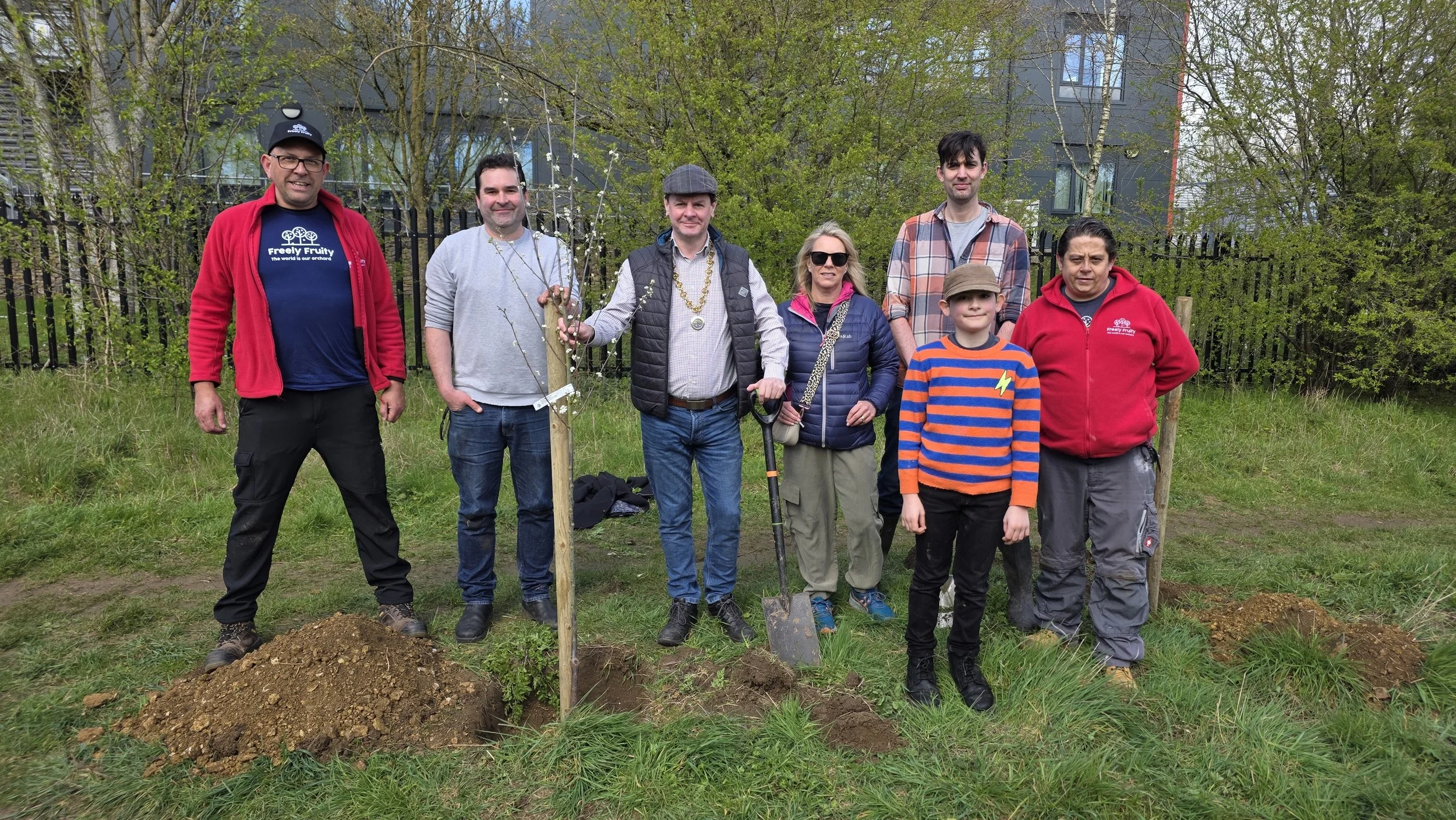 Our community orchard takes root at Lords Mead