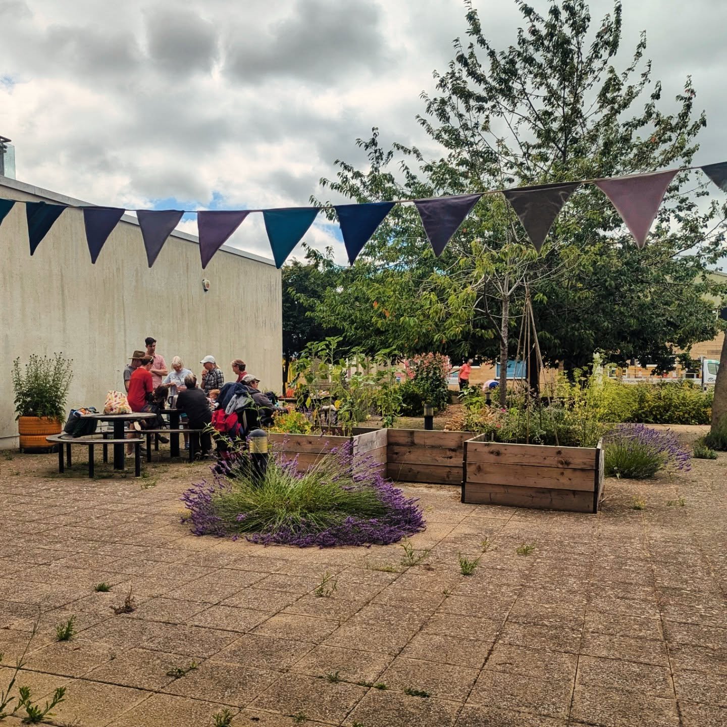 Lovely meet up at the Community Garden today 🌞
