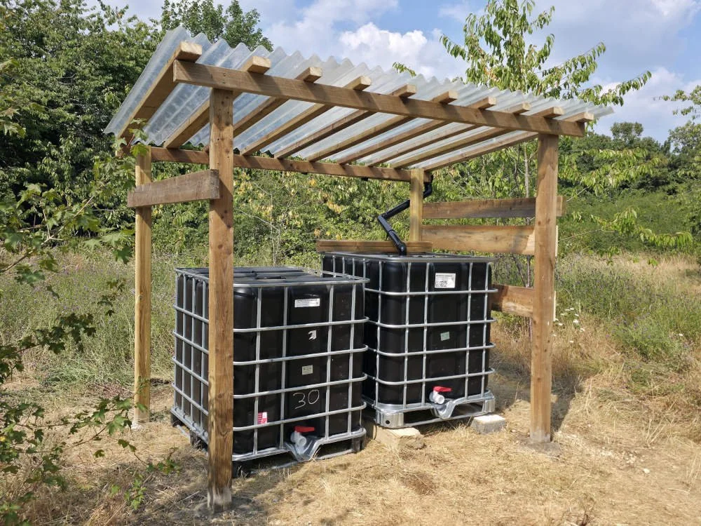 Every drop counts - helping our young orchard beat the heat!