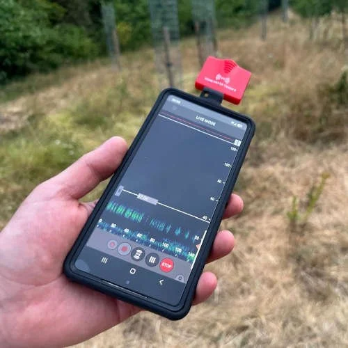 bat detector 2.jpg
