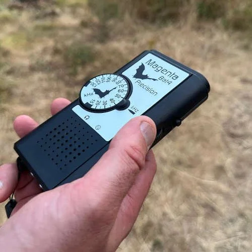 bat detector.jpg