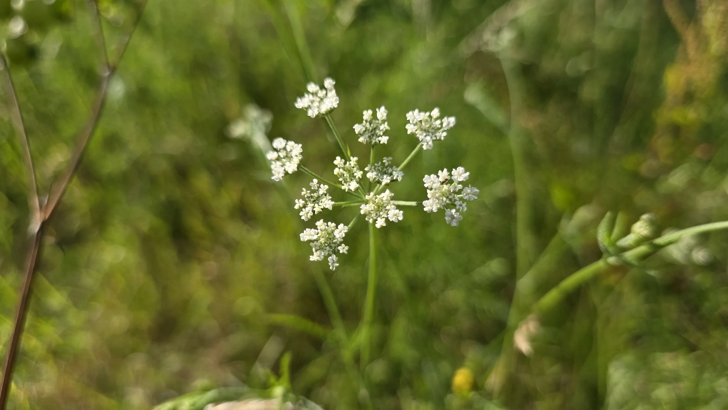 20260627_171635.jpg