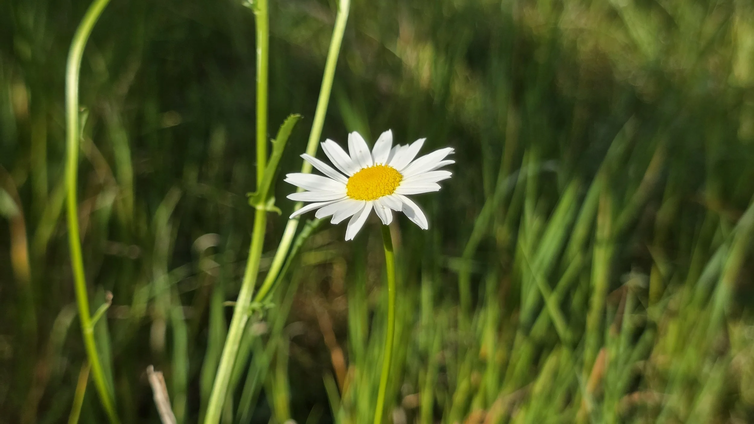 20260627_172140.jpg