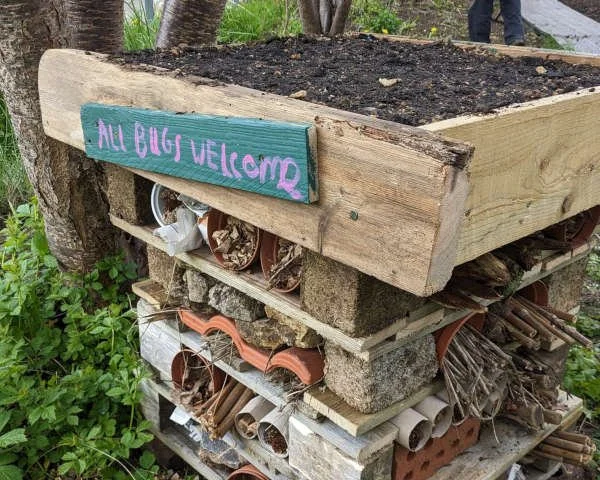 Rooted Chippenham community garden bug hotel