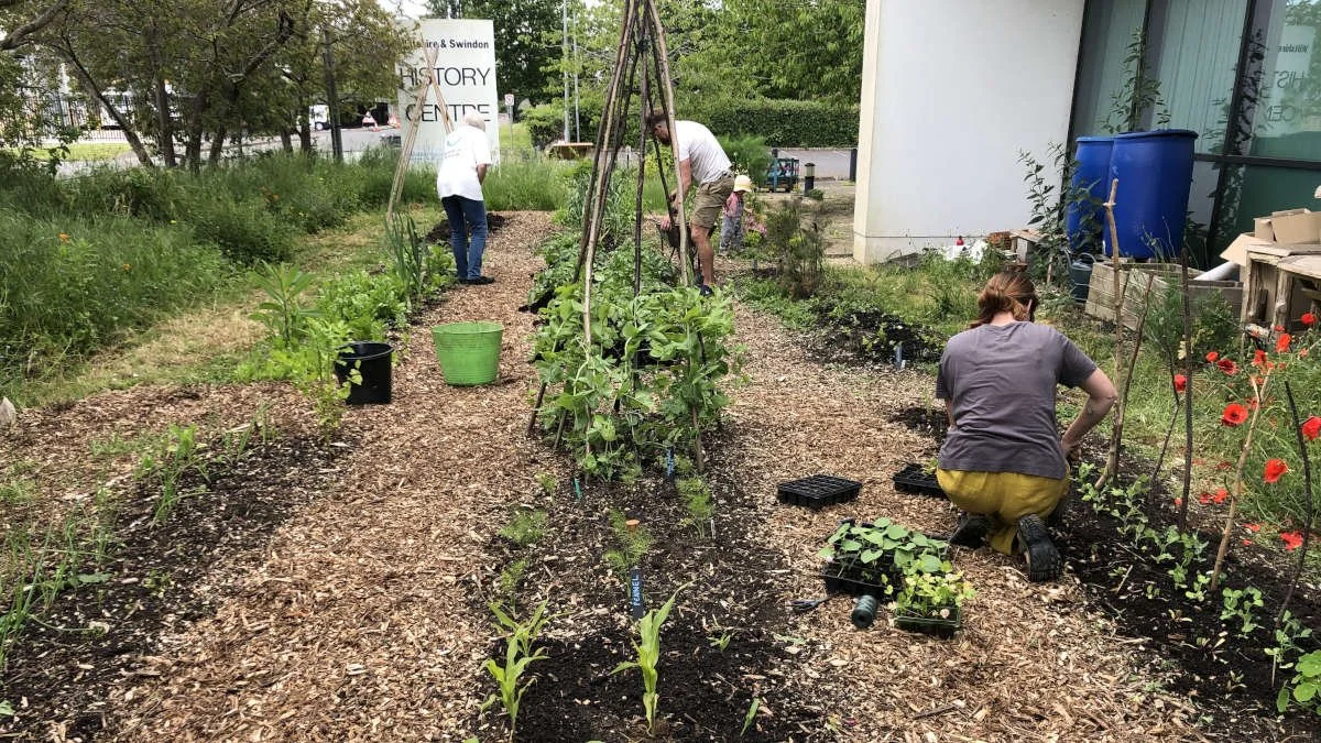 Rooted Chippenham community garden
