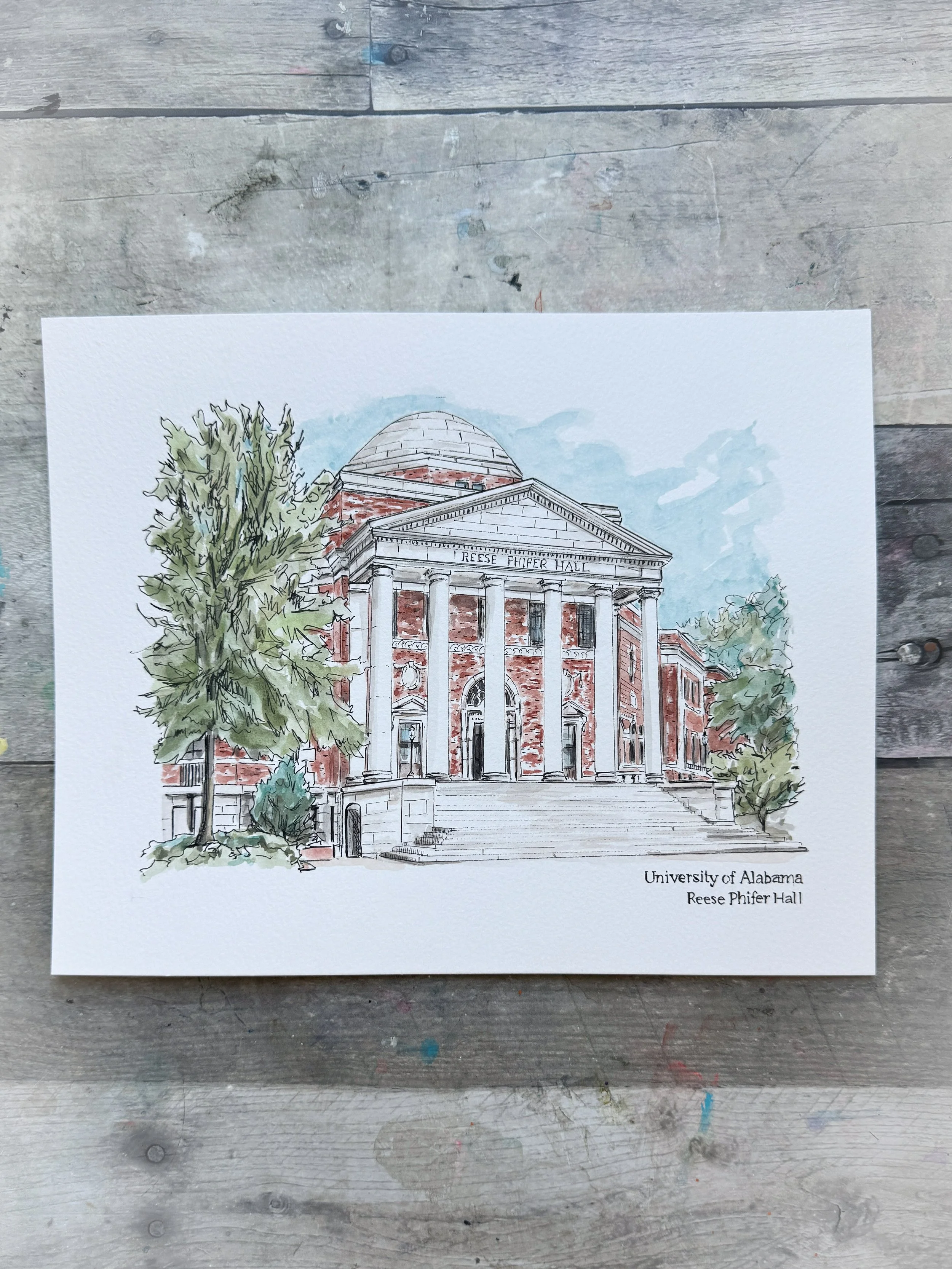 Univ of Alabaam FReese Phifer.JPG