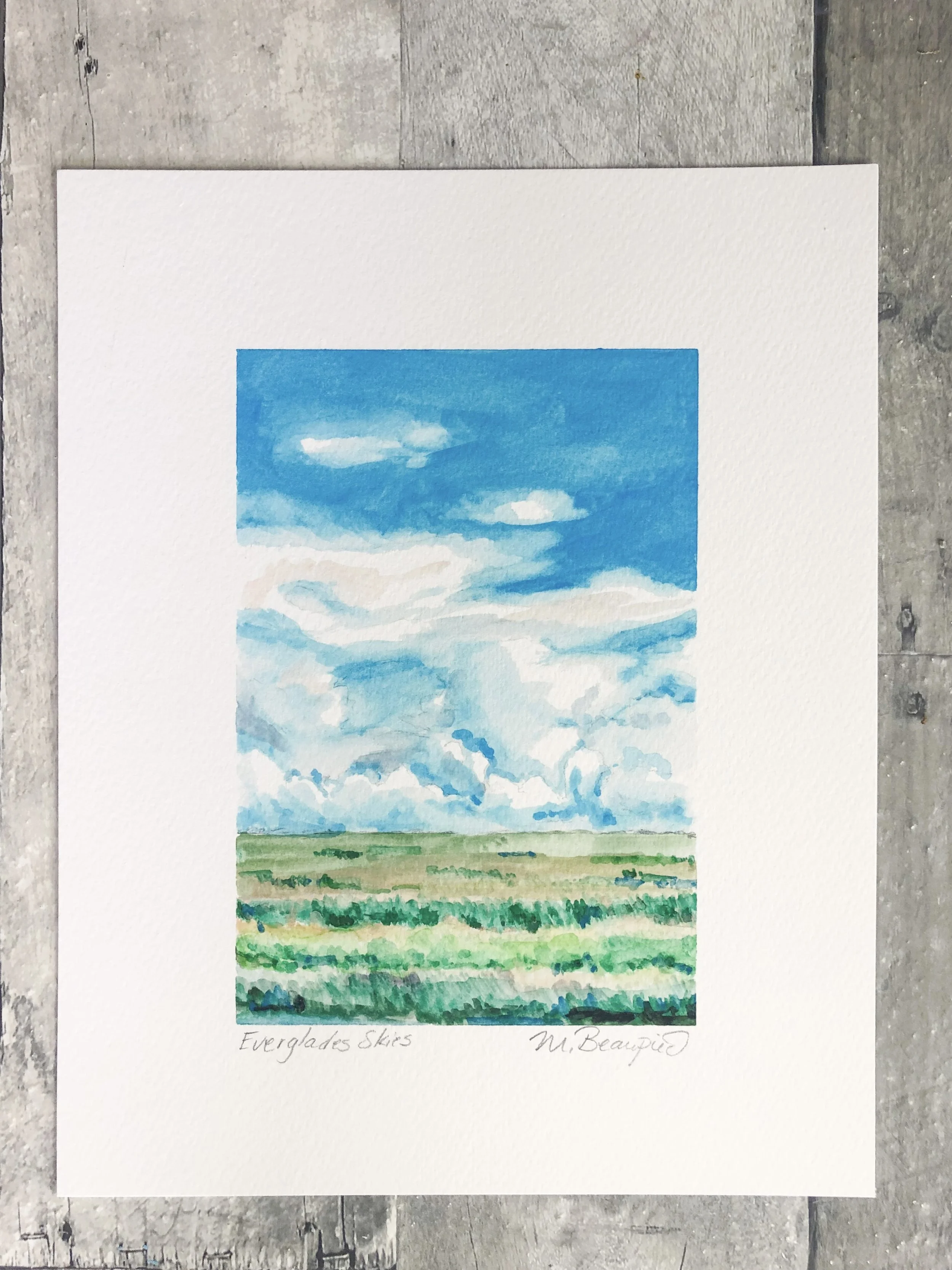 Everglades Skies