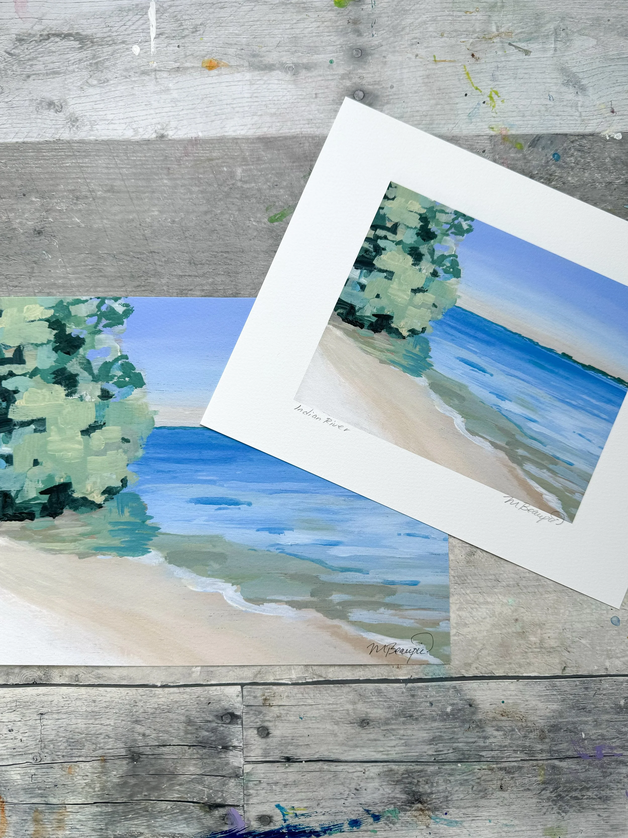 Indian river prints.JPG