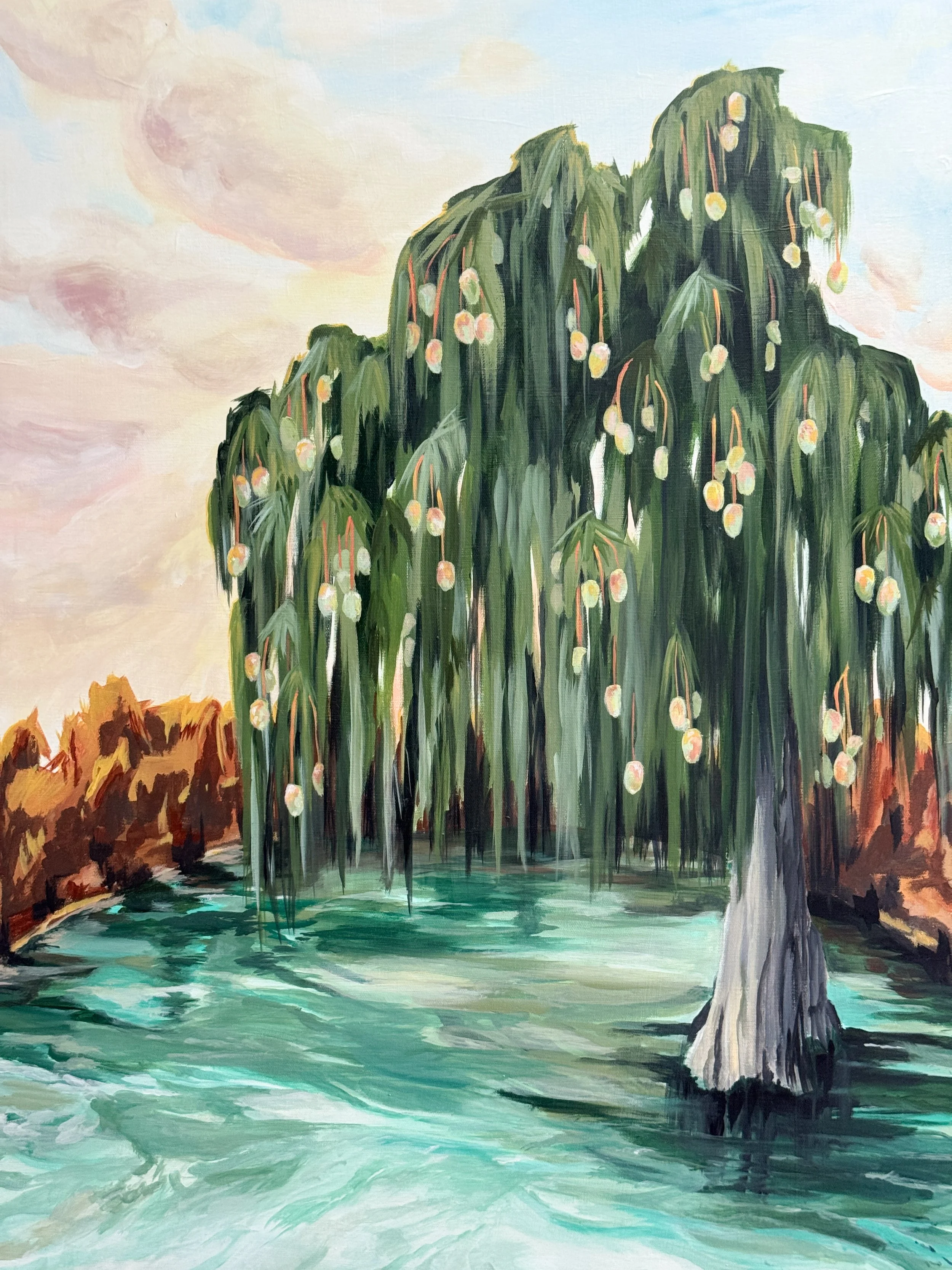 Weeping Cypress Mango
