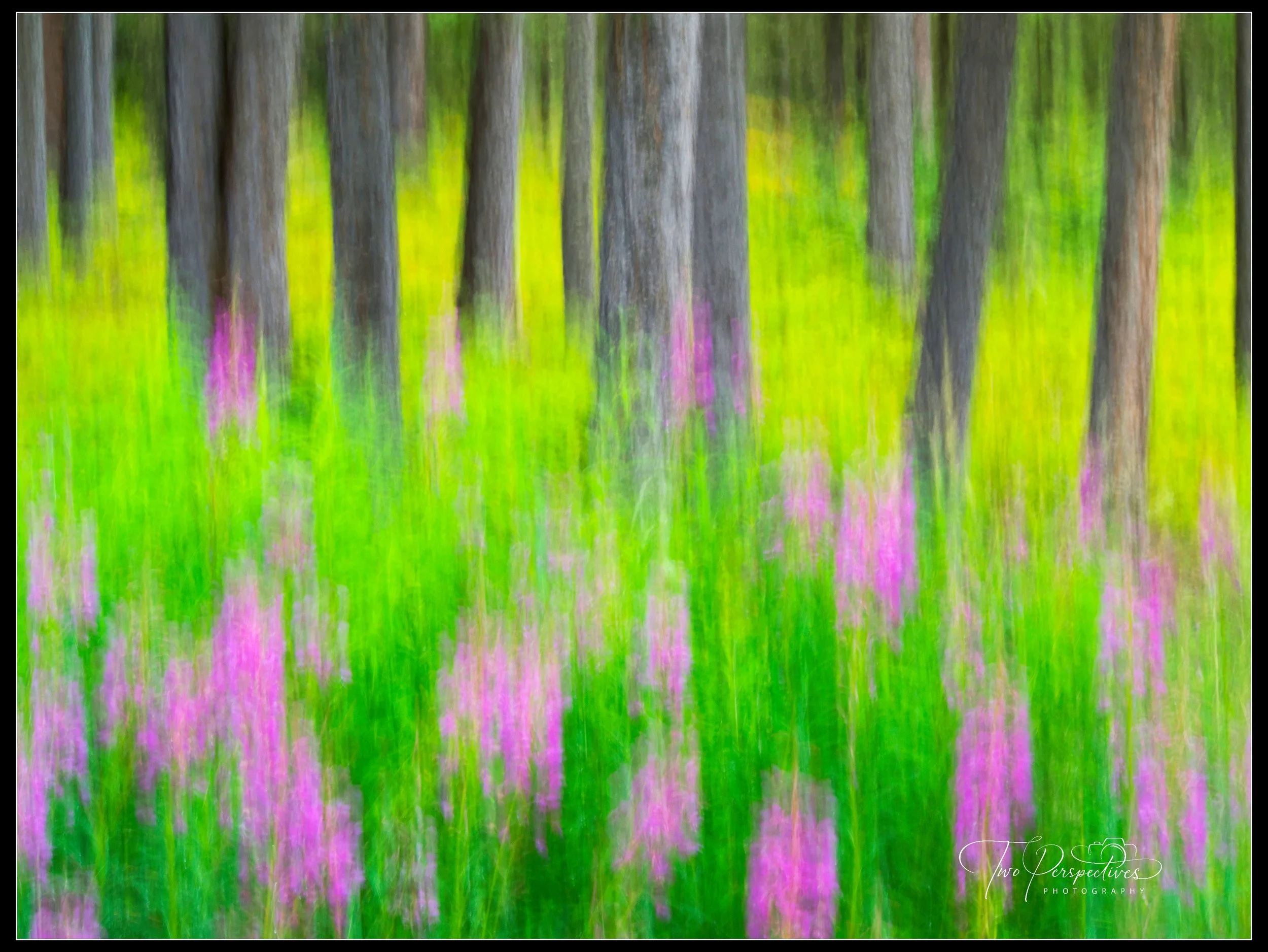 Field of Flowers Painted Look.jpg