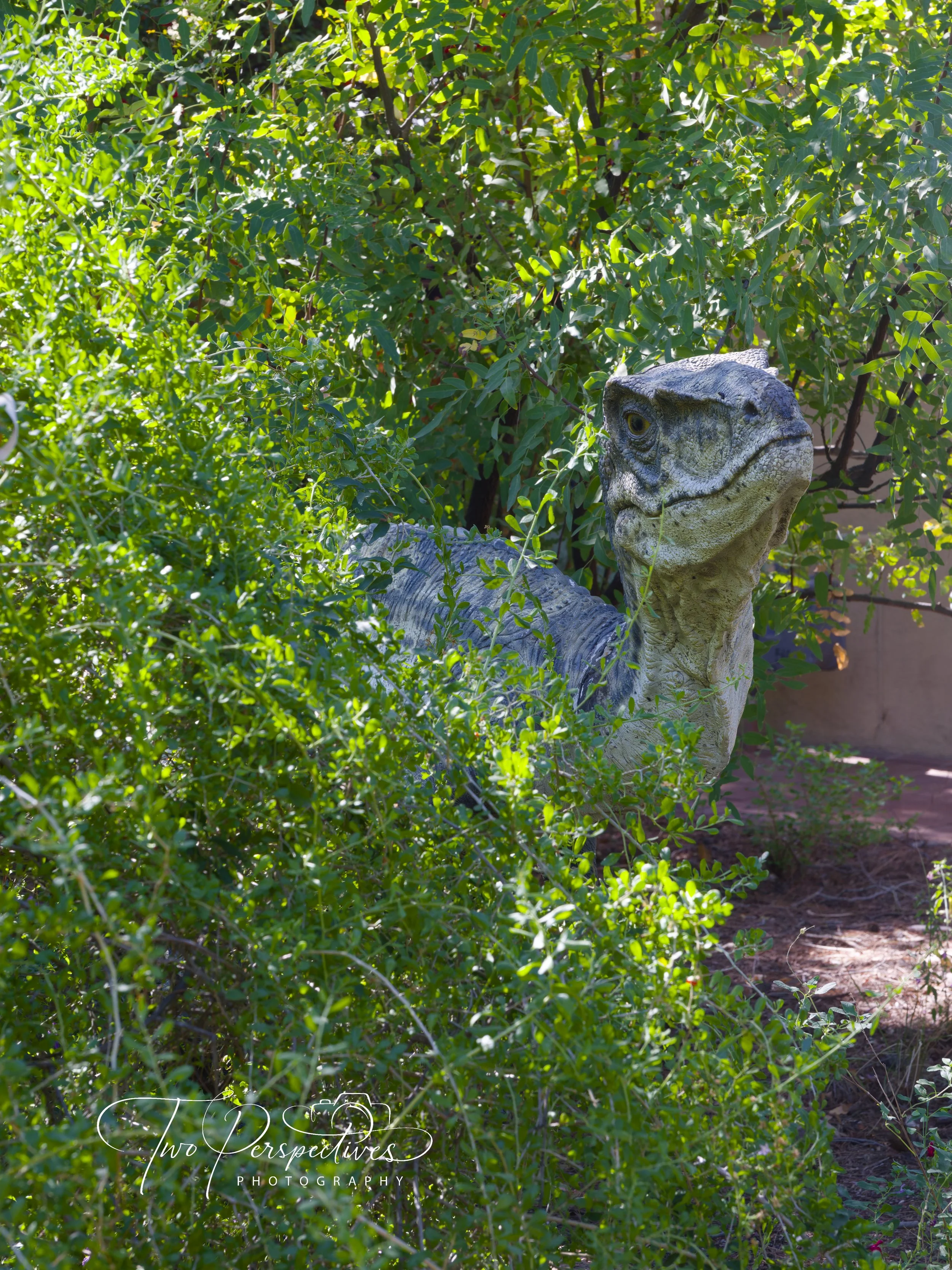 Clever Girl.jpg