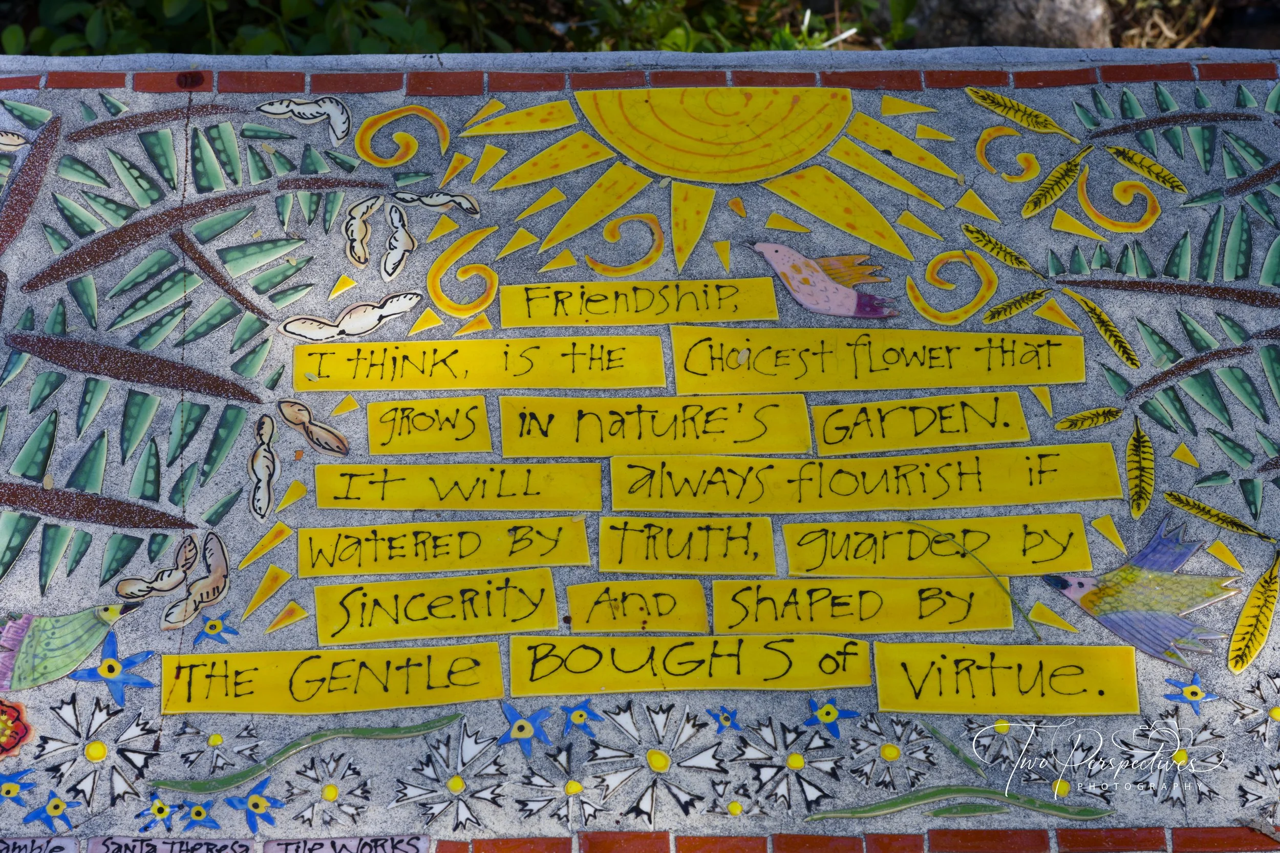 Botanical Gardens, Tucson AZ 2.jpg