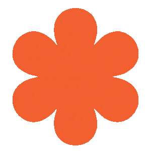 Orange flower shape on a blue background.