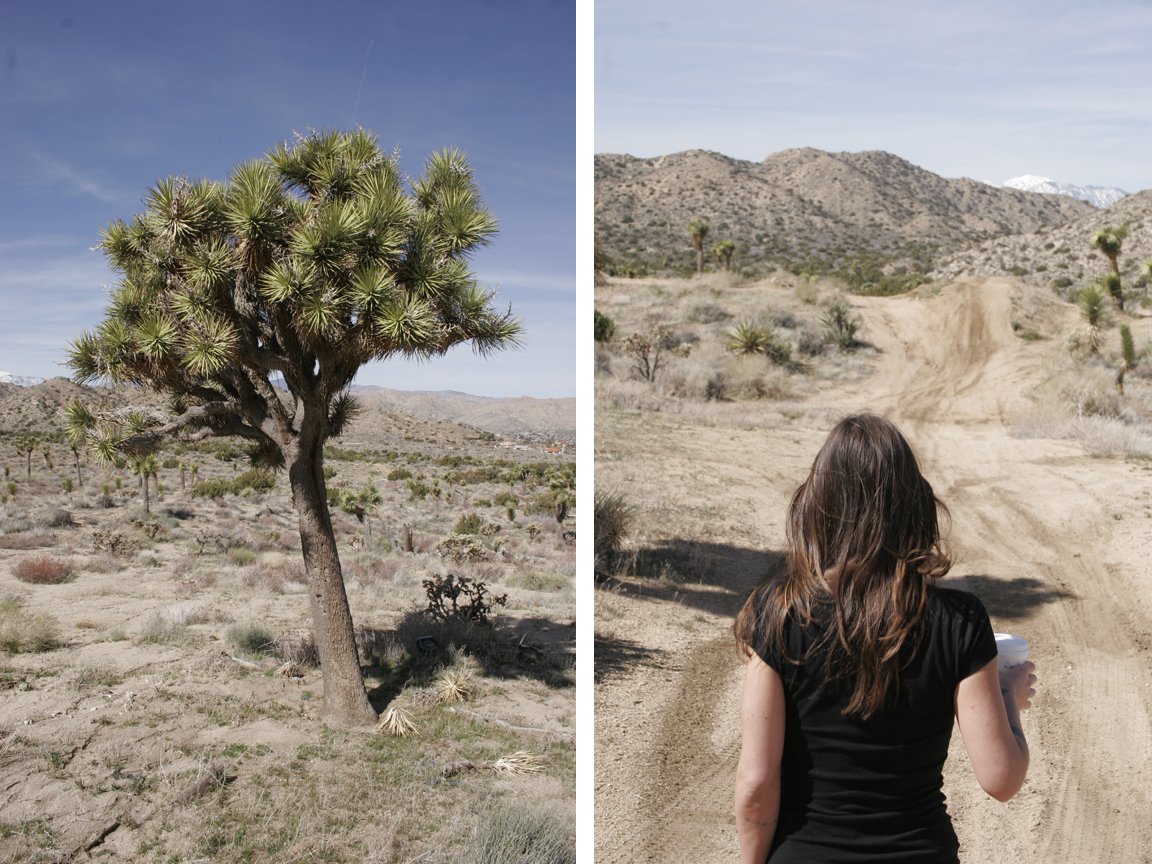 desertwalk.jpg