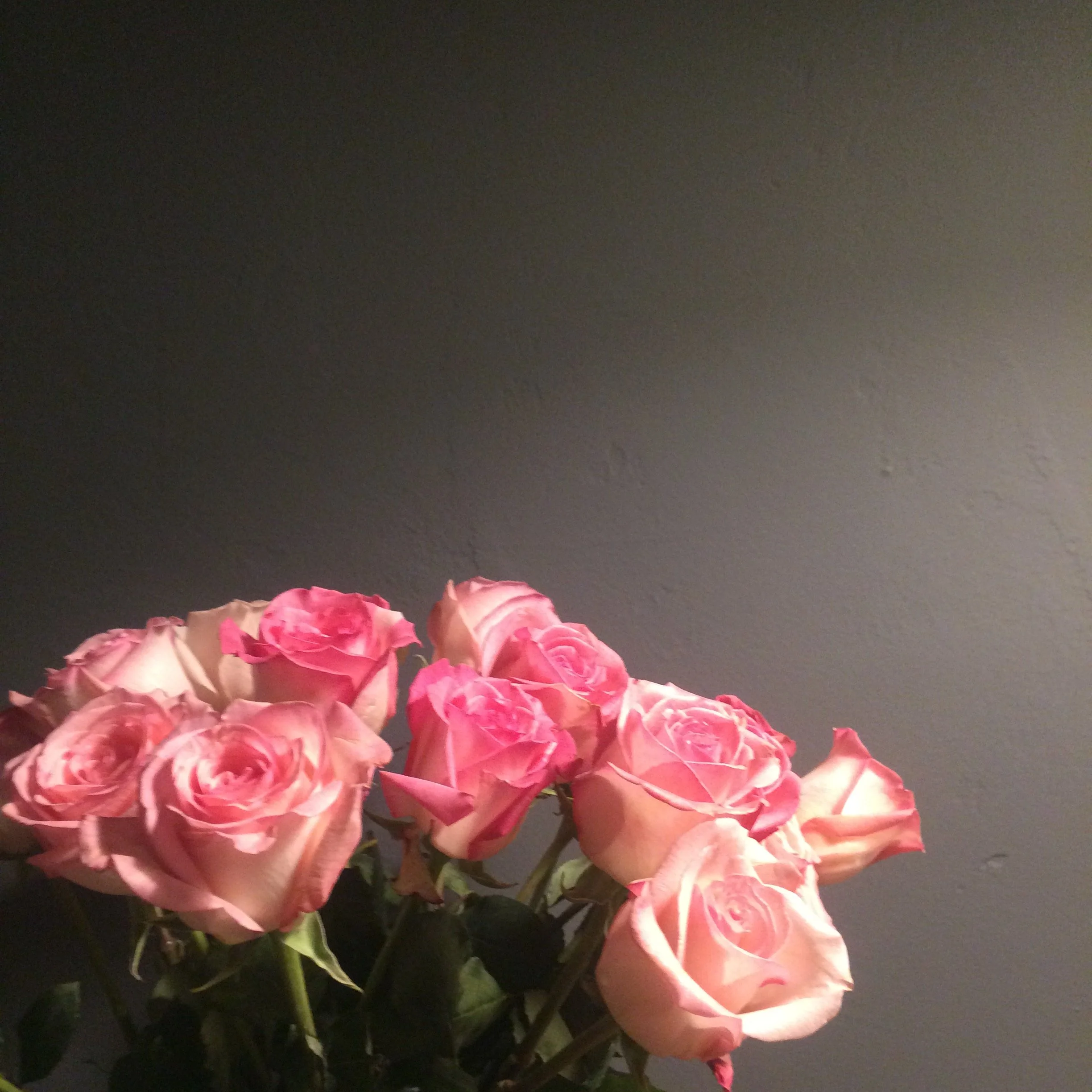 IMG_2348.jpeg