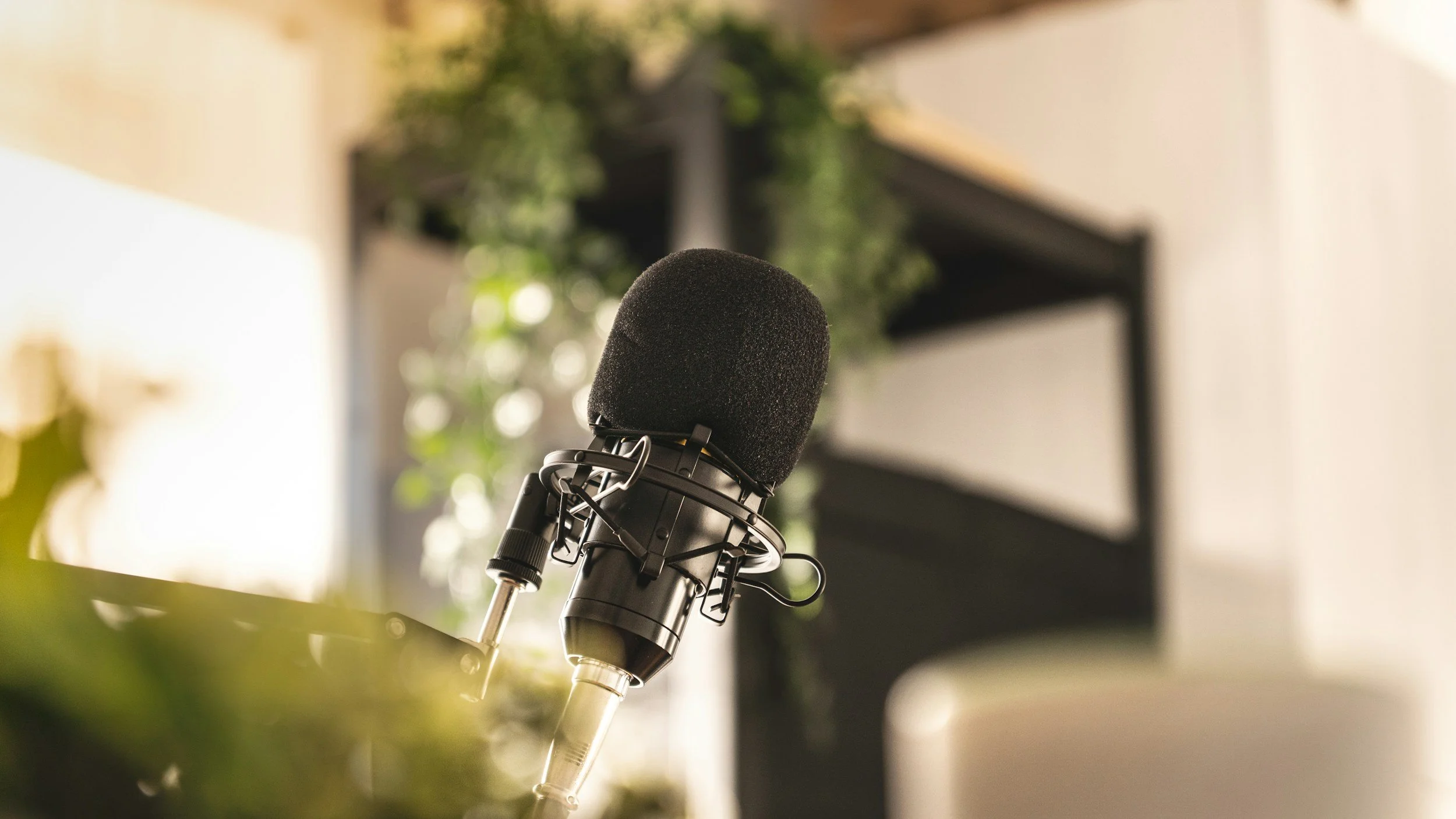Close-up of a professional microphone with a foam windscreen in a recording studio, with a blurred background of plants and furniture.