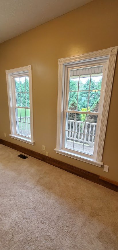 BACES windows1.jpg