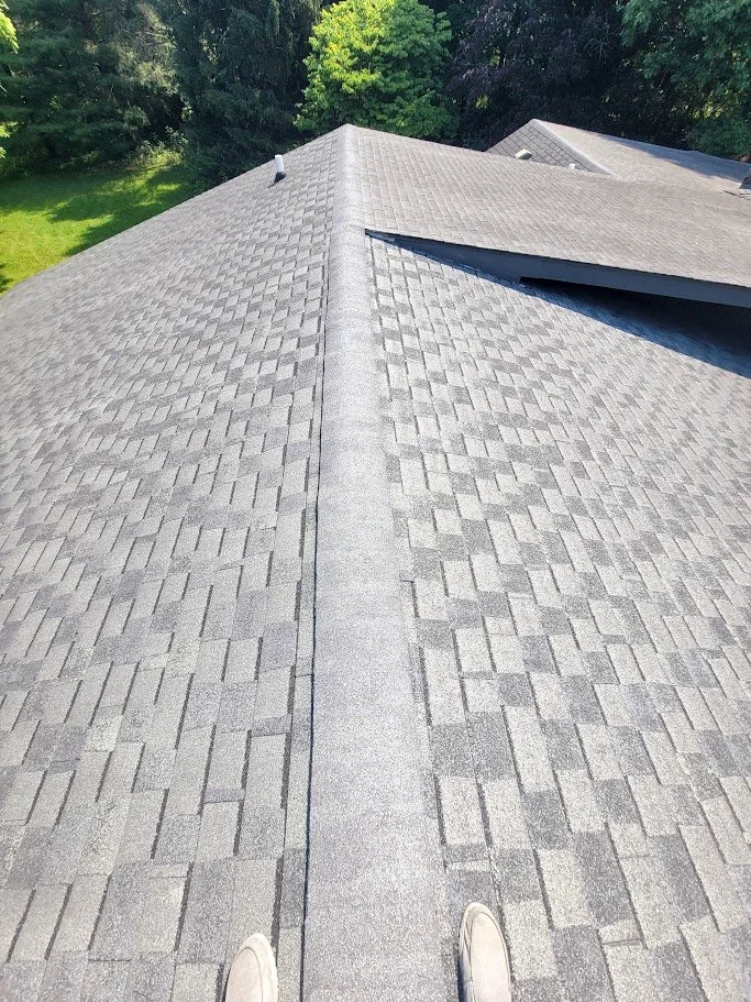 BACES roofing2.jpg
