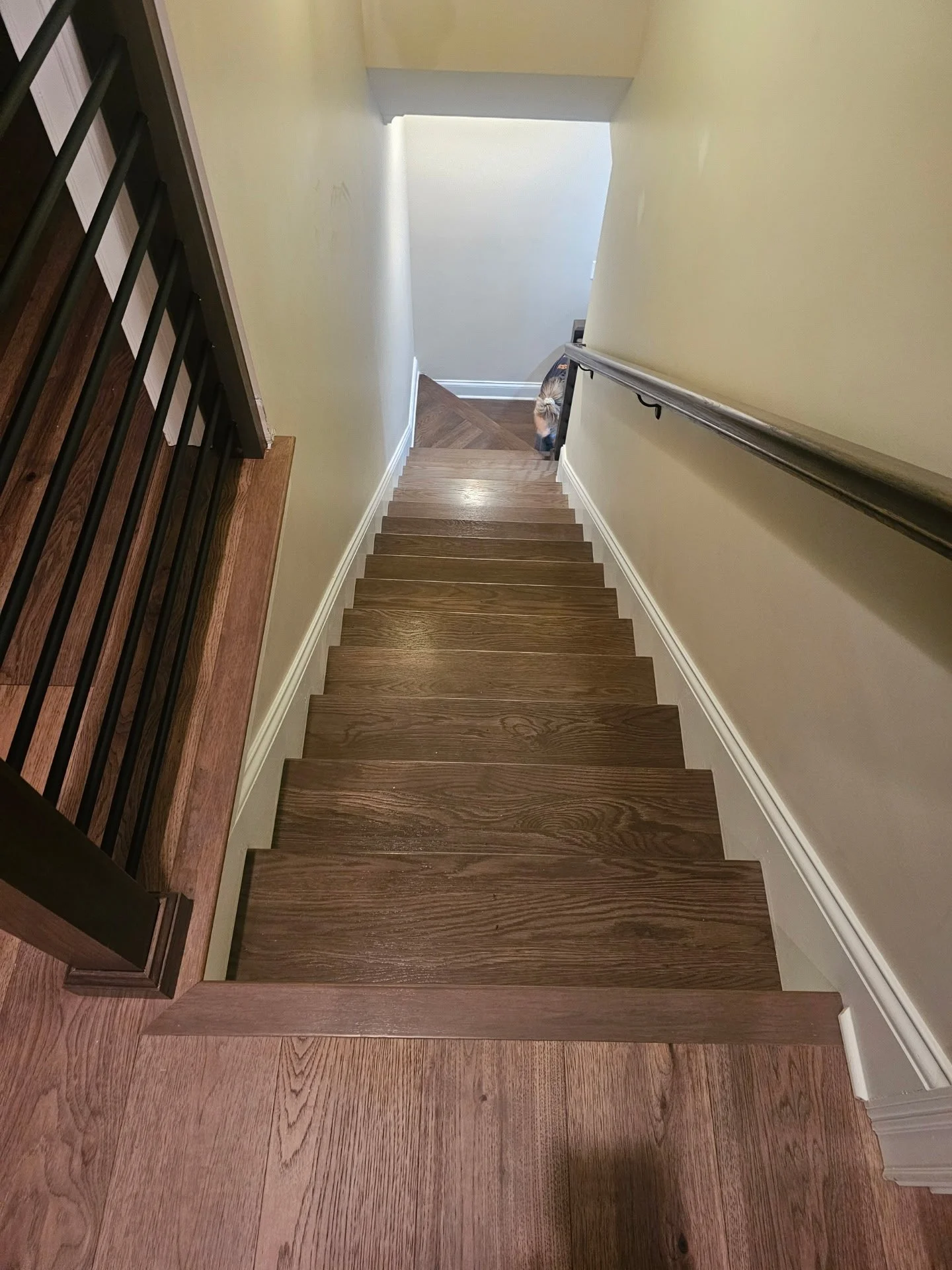 View of a staircase seen from the top, showing wooden steps with a white baseboard and a handrail on the right side, with a partial view of a person at the bottom of the stairs.