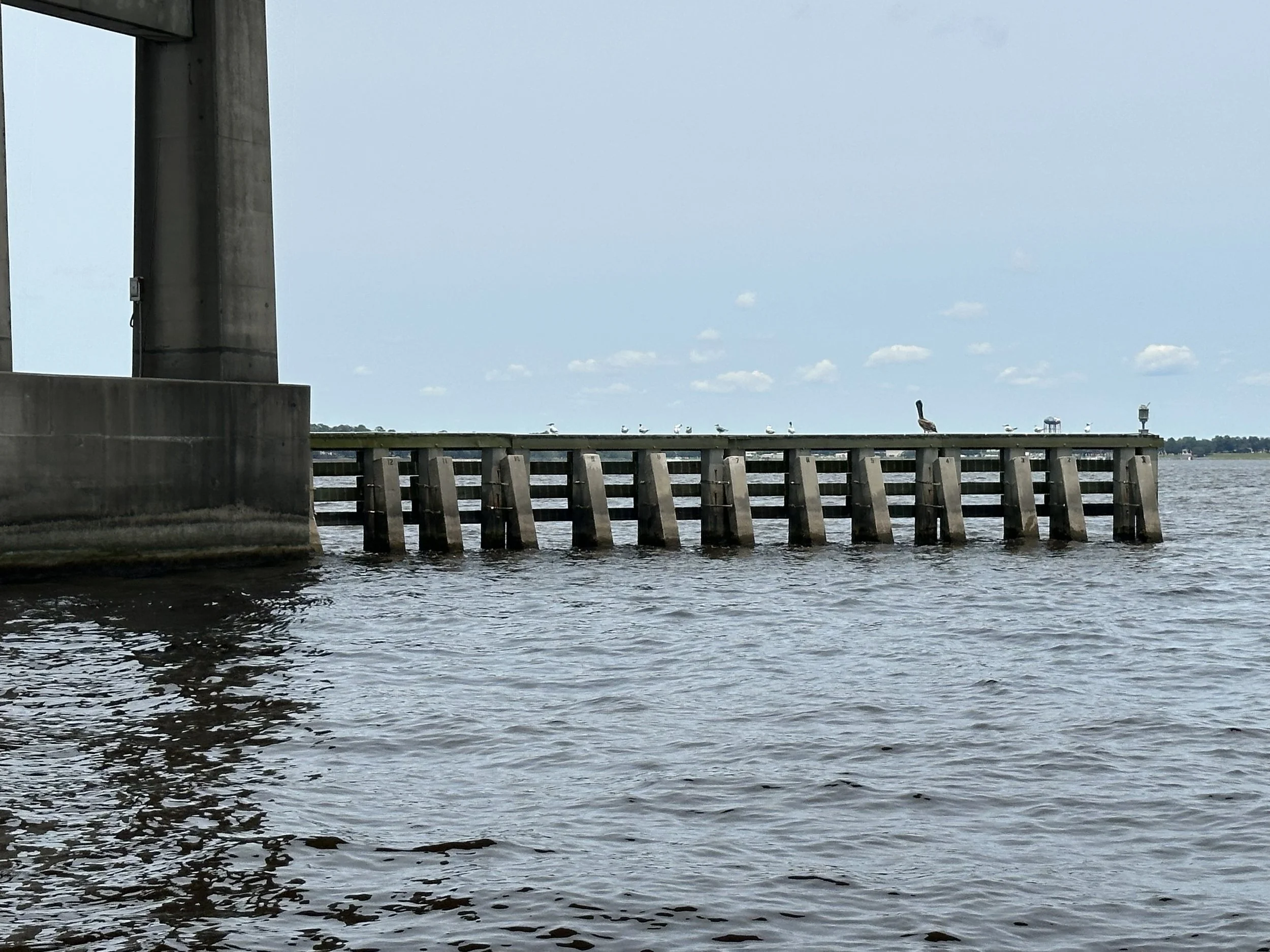 View of a water body with a concrete dock or pier. Several seagulls are perched along the edge of a rail on the pier. A tall bird, possibly a pelican, stands on the pier. A large concrete support structure of a bridge or similar structure is visible on the left. The sky is partly cloudy with light blue sky visible.