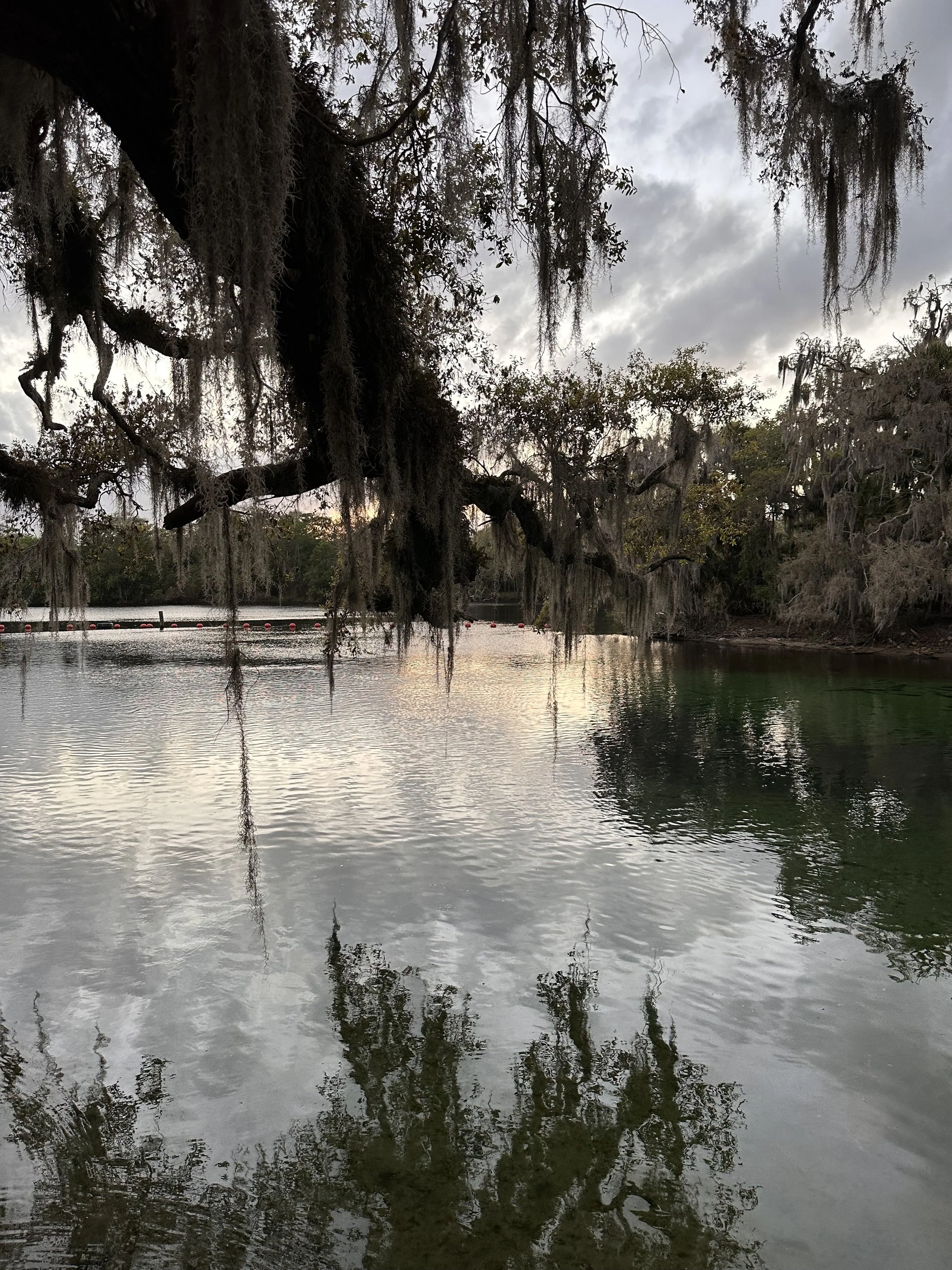 Blue Springs State Park