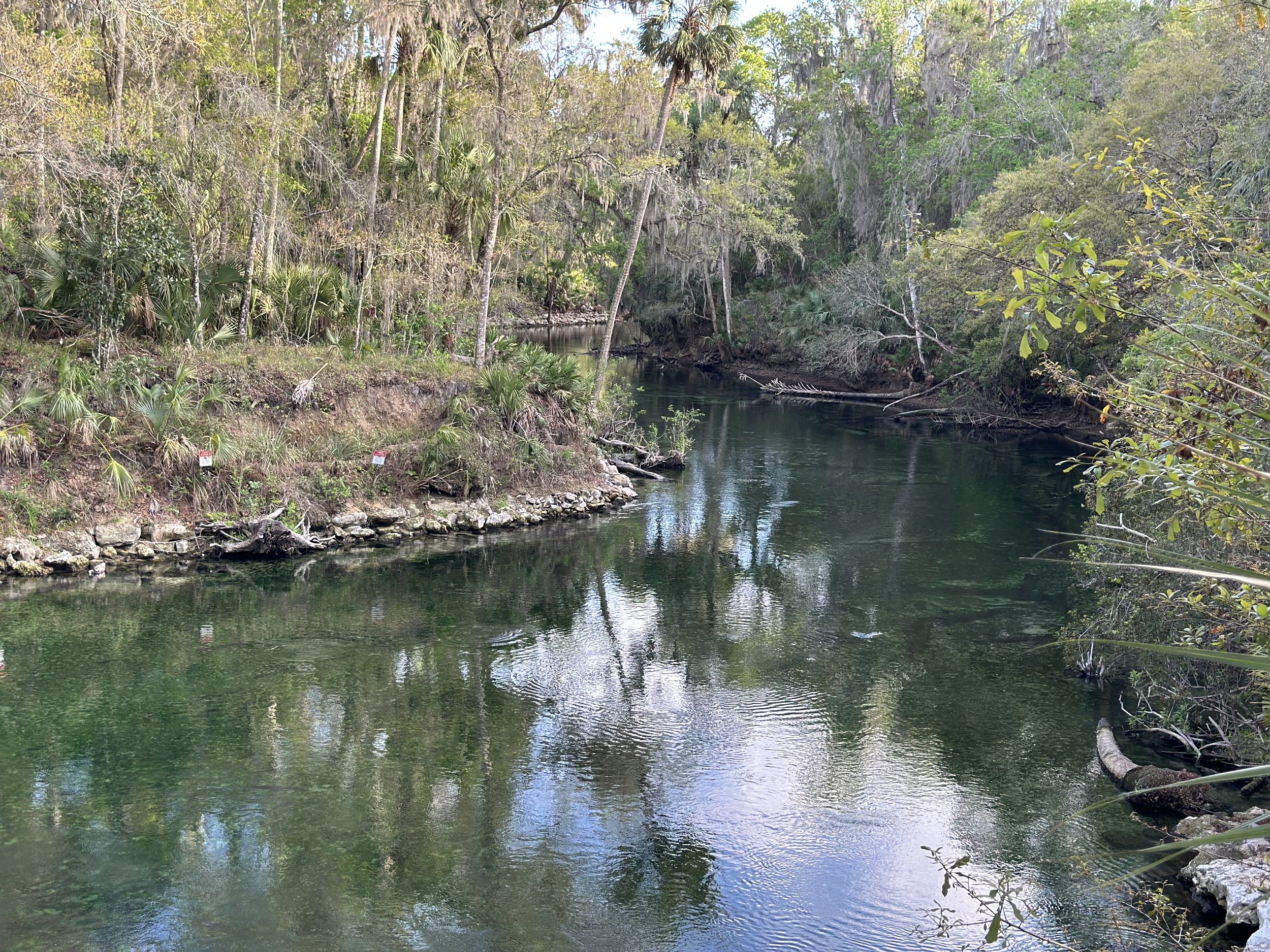 The Ravines Gardens