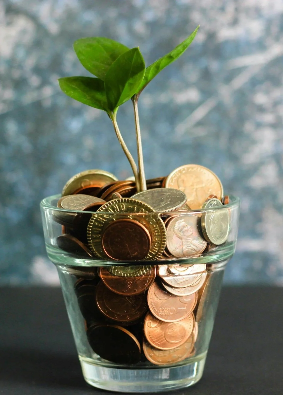 A glass filled with various coins, with a small green plant growing from the money.