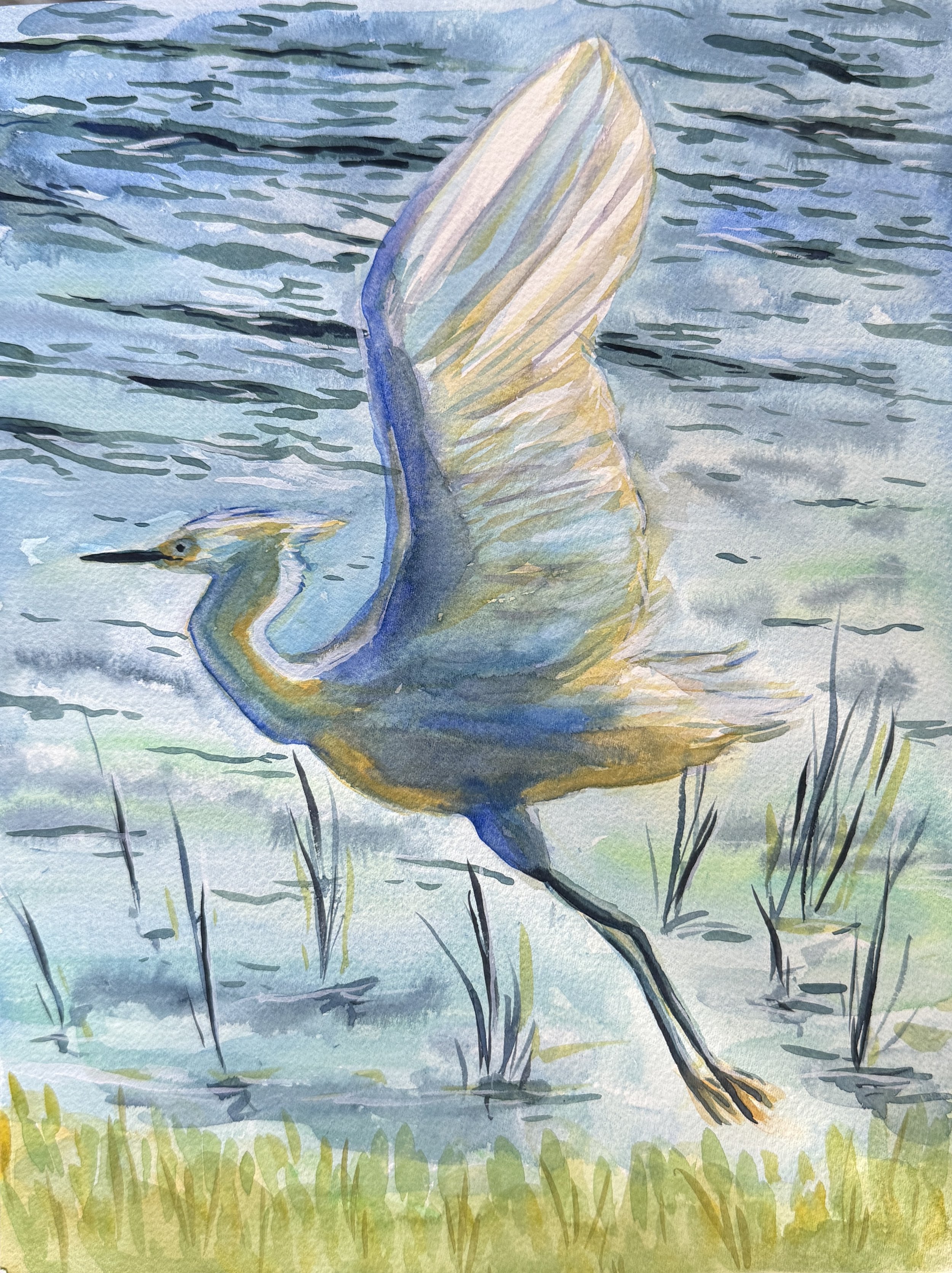 2. Great Egret in Flight - Watercolor on Paper - 9 in by 12 in.JPG