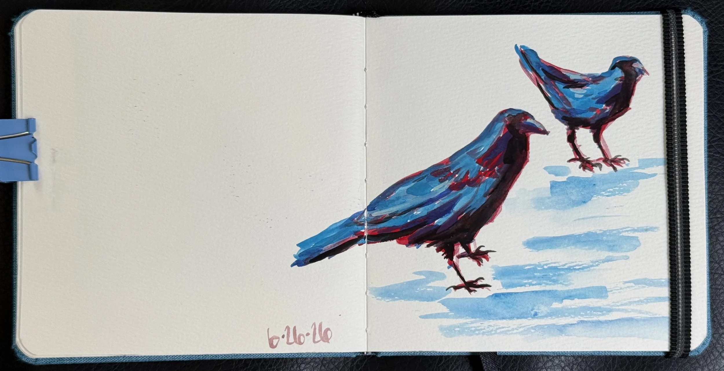 crow-31and32.JPG