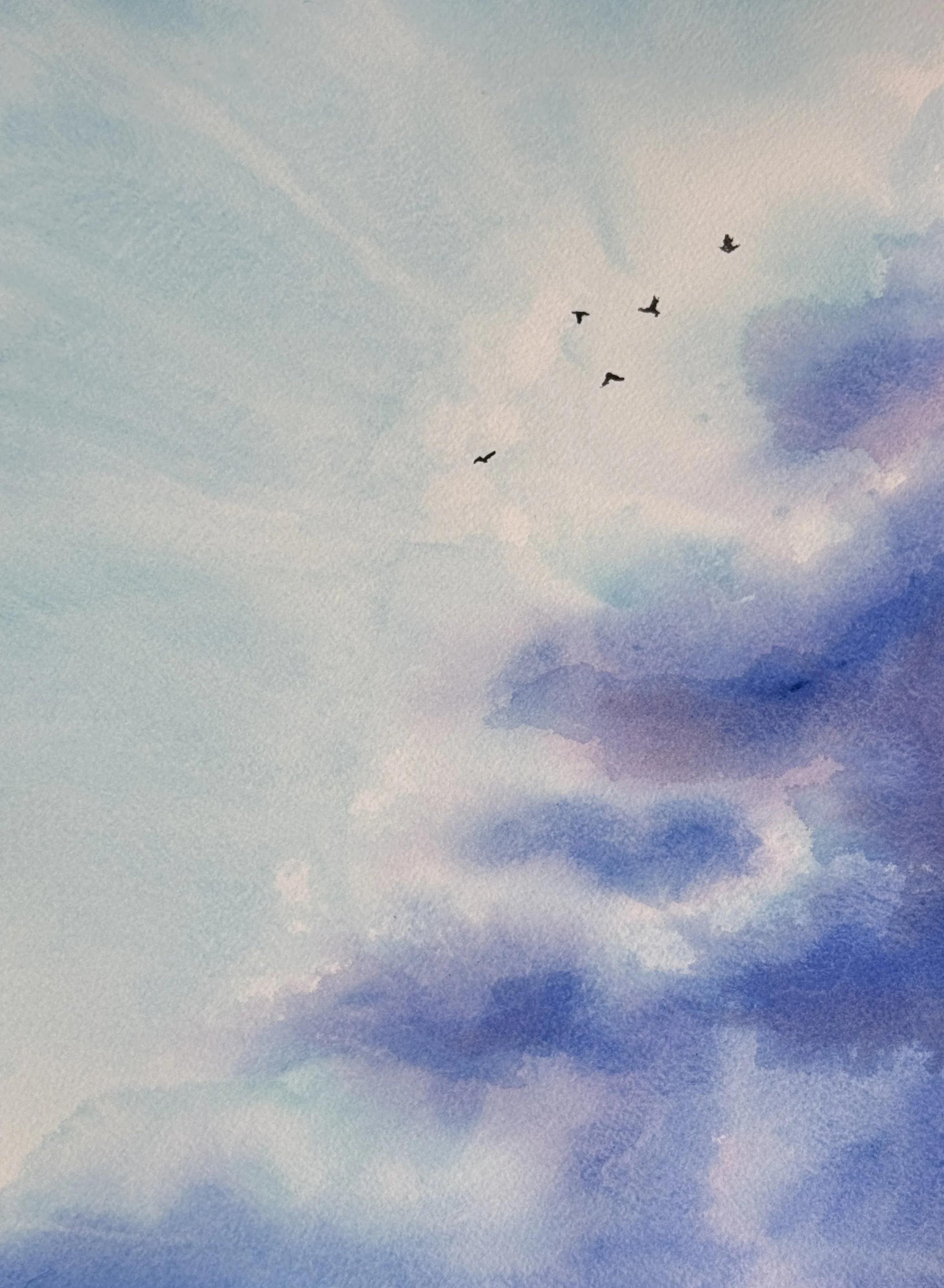 crow-26.JPG