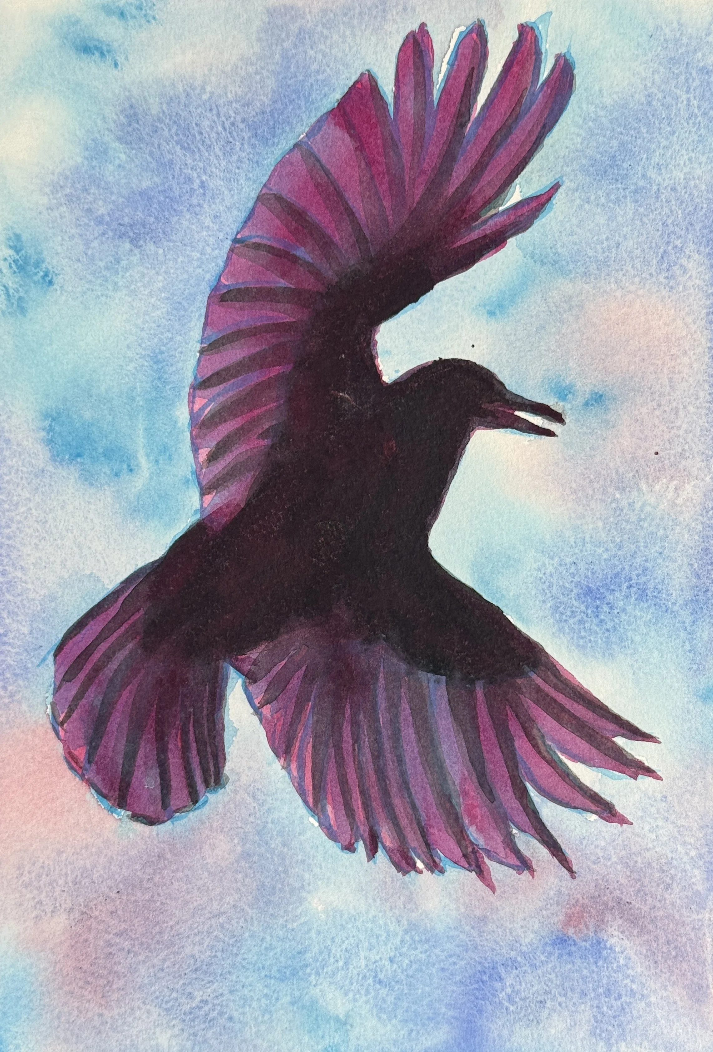 crow-13.JPG