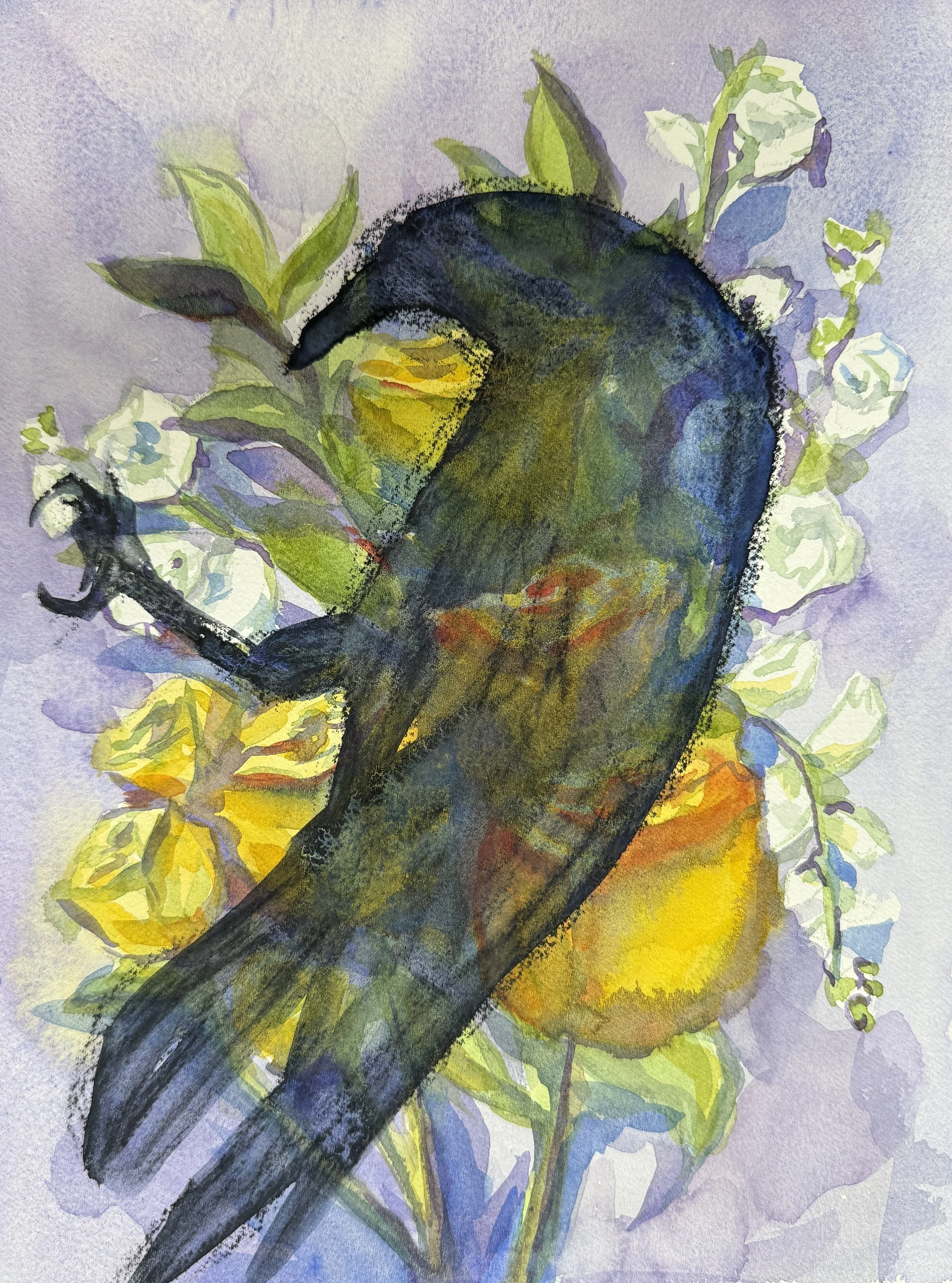 crow-14.JPG