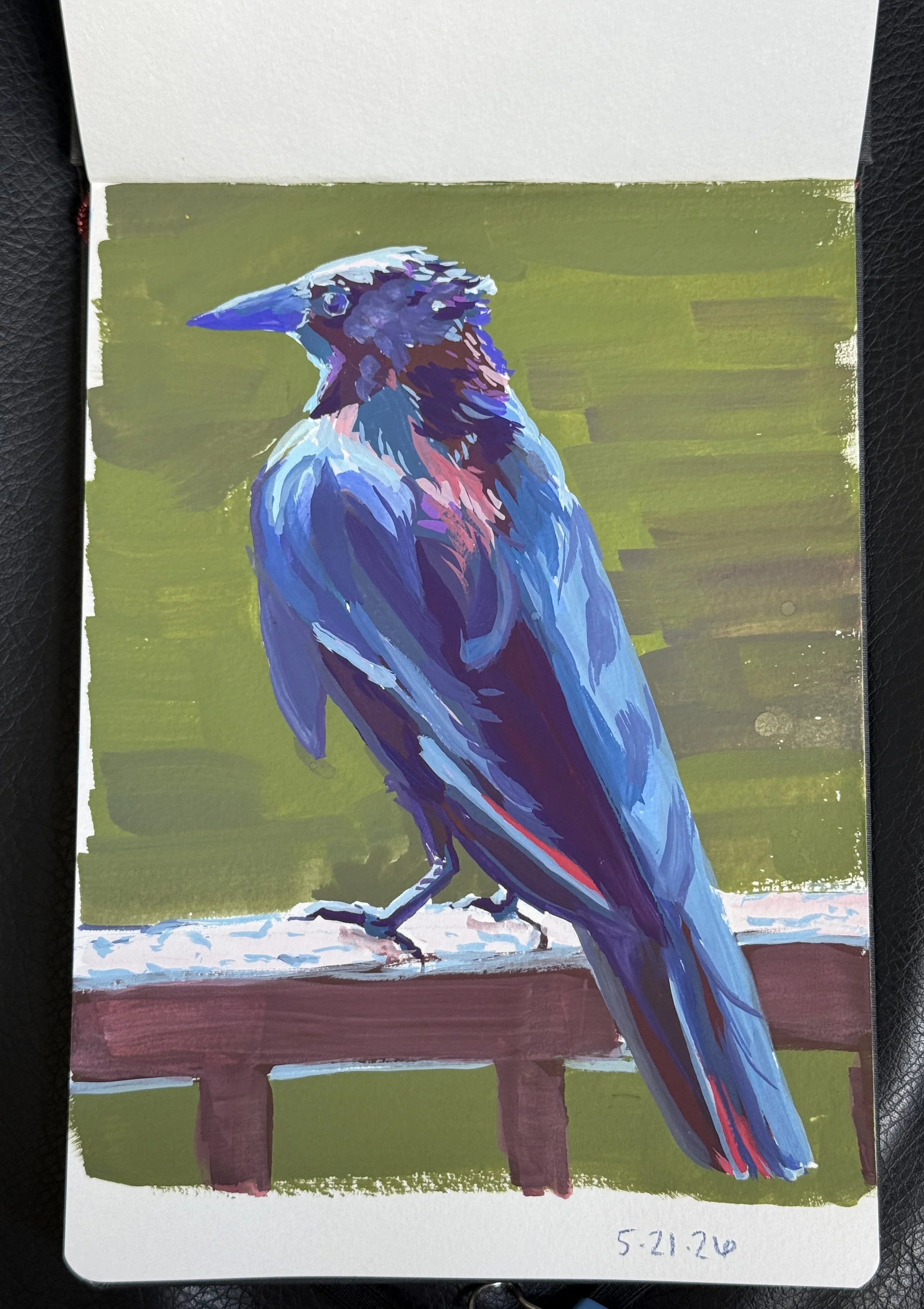 crow-28.JPG