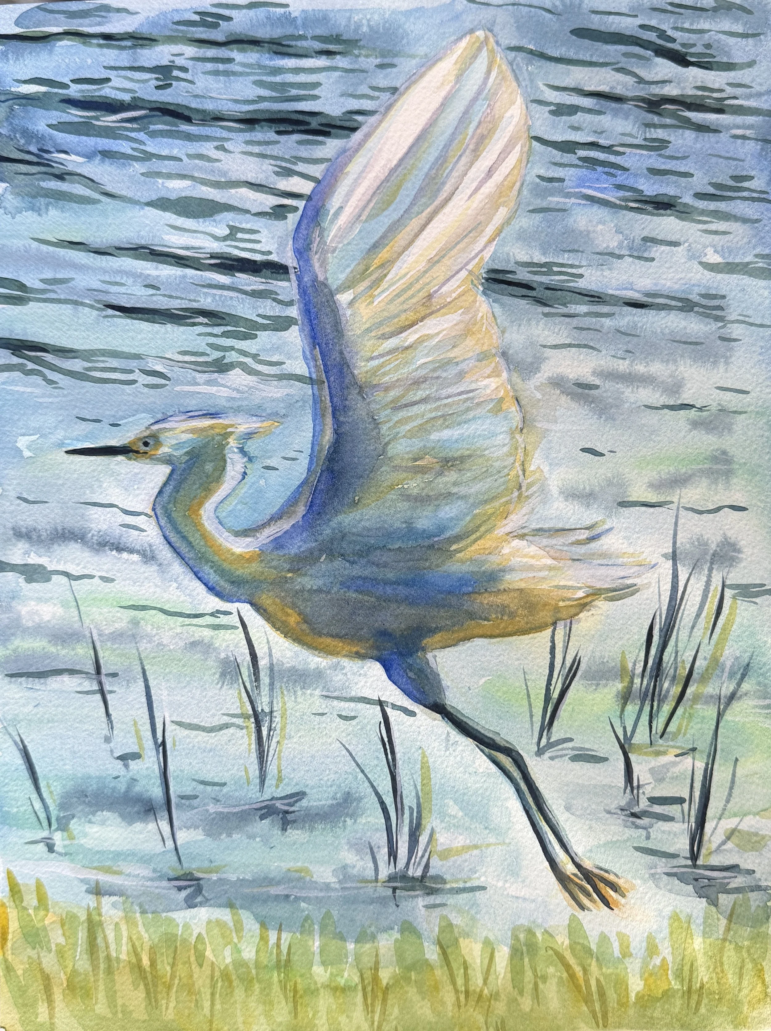 2. Great Egret in Flight - Watercolor on Paper - 9 in by 12 in.JPG