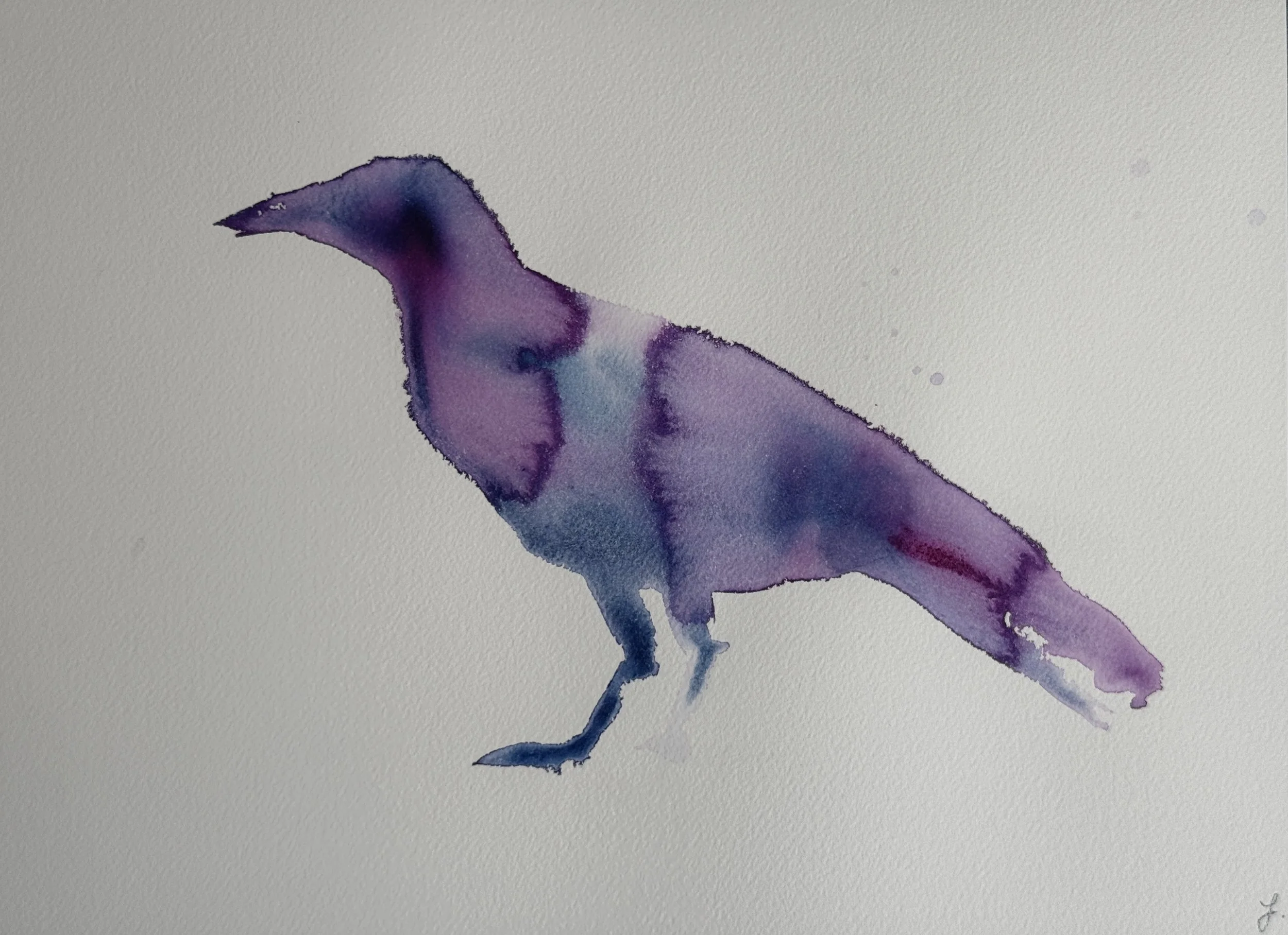 crow-40.JPG